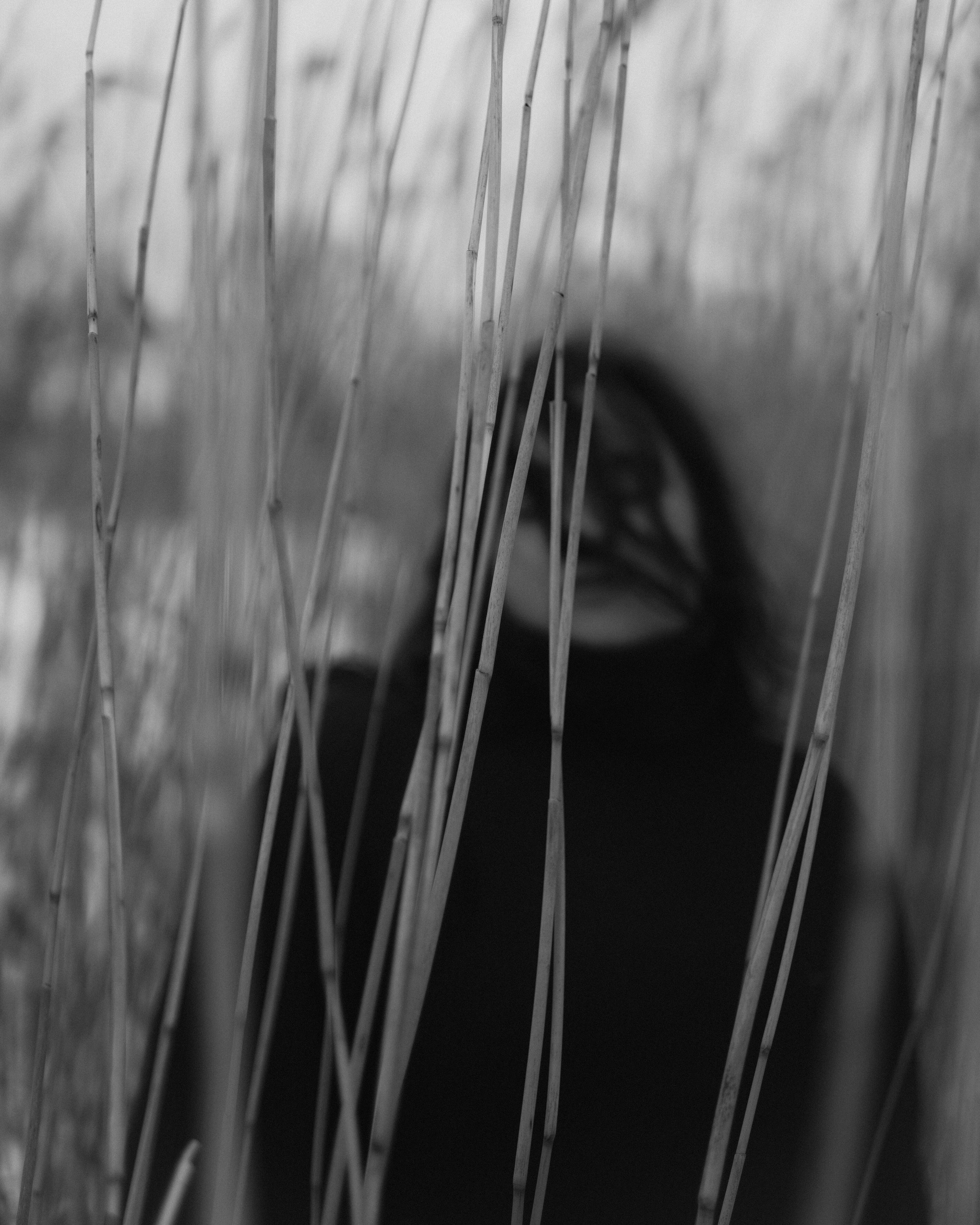 Loodus, meri, tunned. Meeste ja naiste fotograaf Tallinnas Anna Sipari