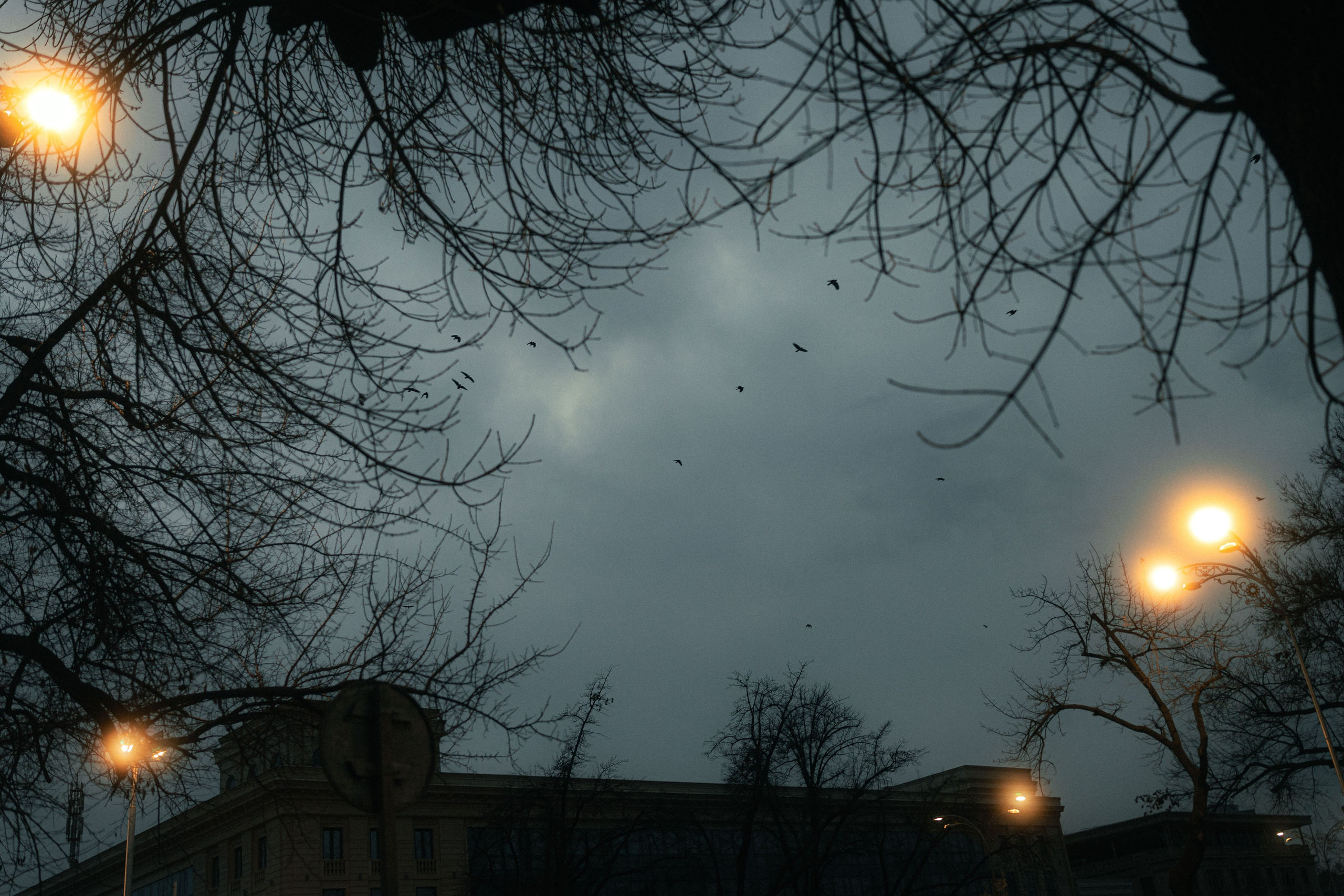 Стрит и Урбан. Георгий Намазов | Фотограф в Ташкенте