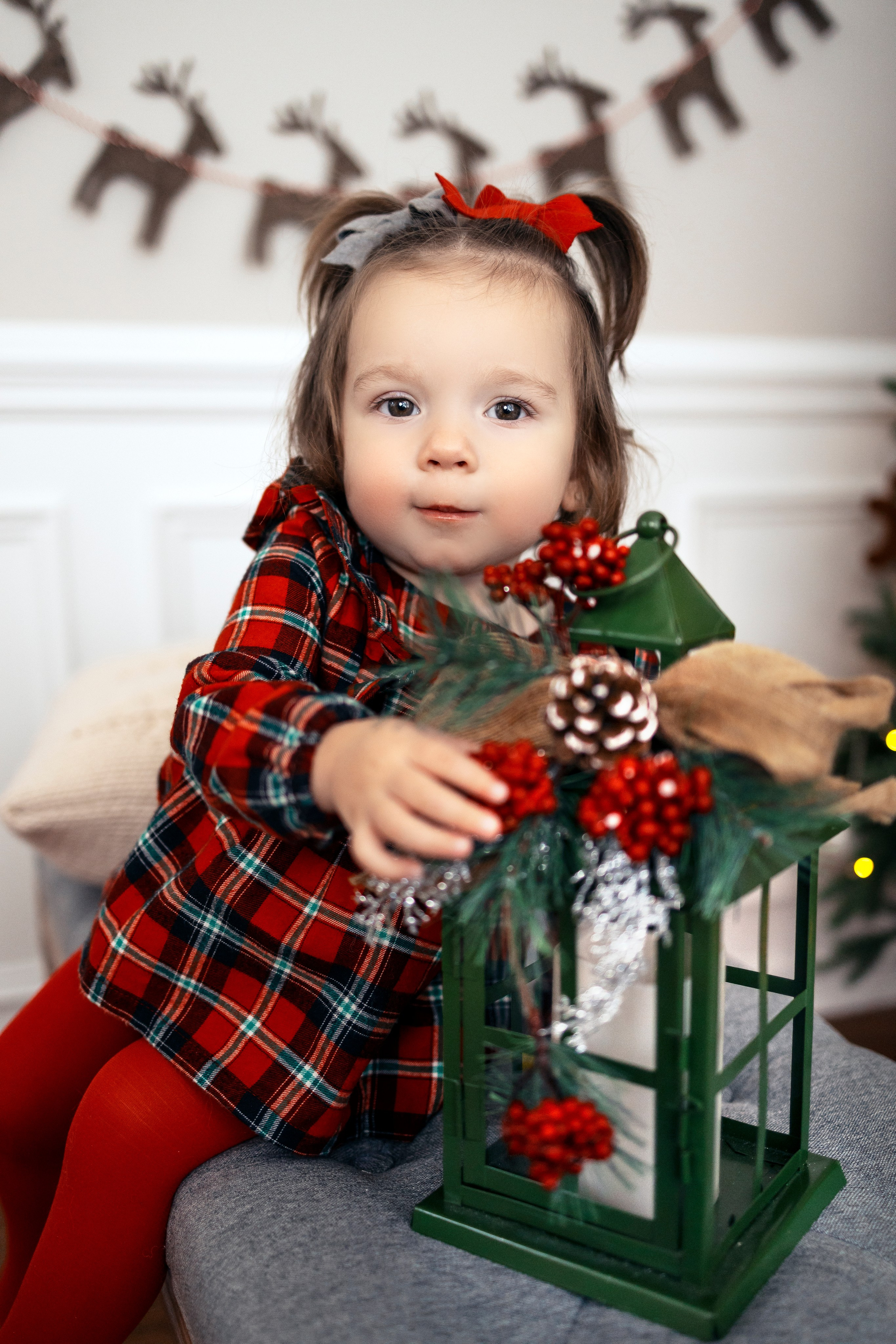 Christmas. Anaeliseevaphoto.com