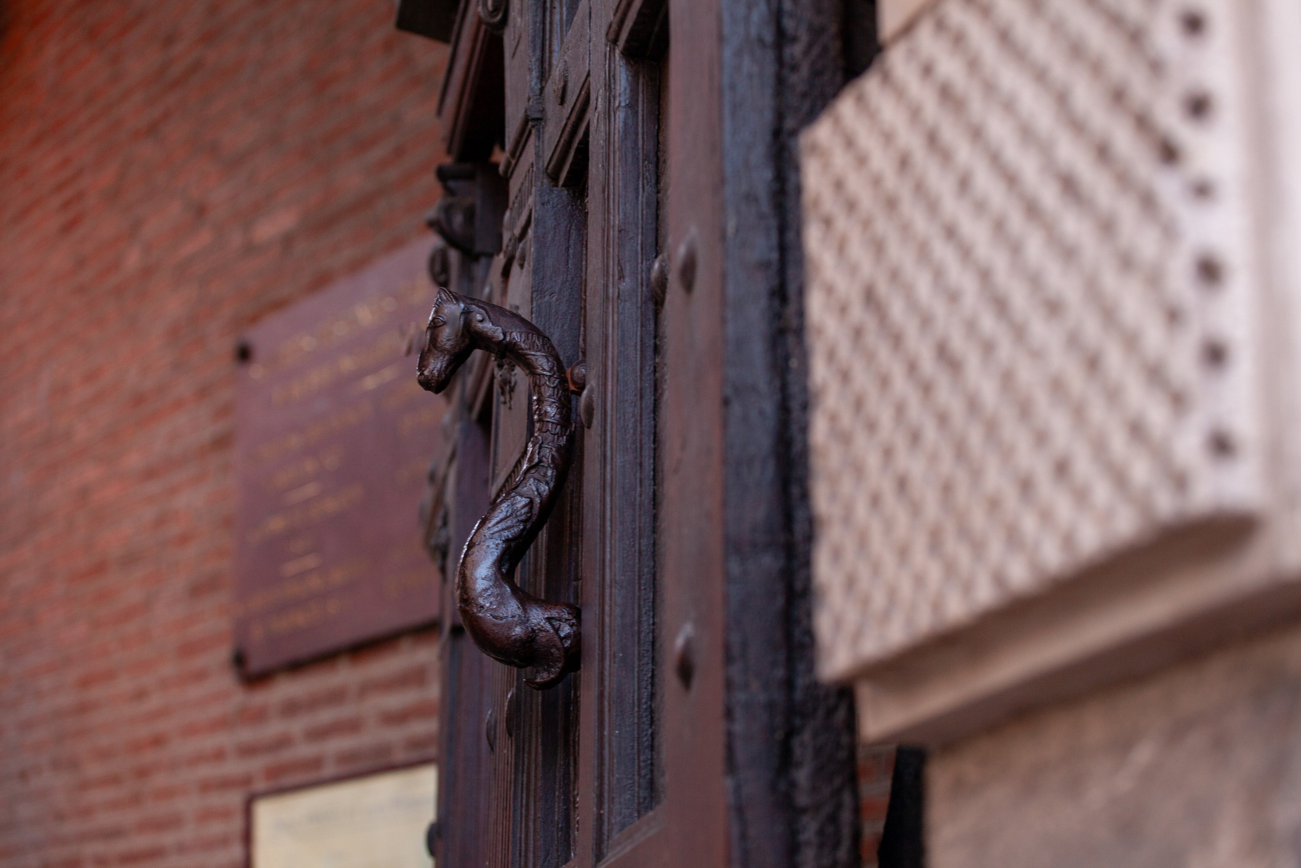 Toulouse. Eugénie Smirnova — your photographer in Toulouse and southwest France