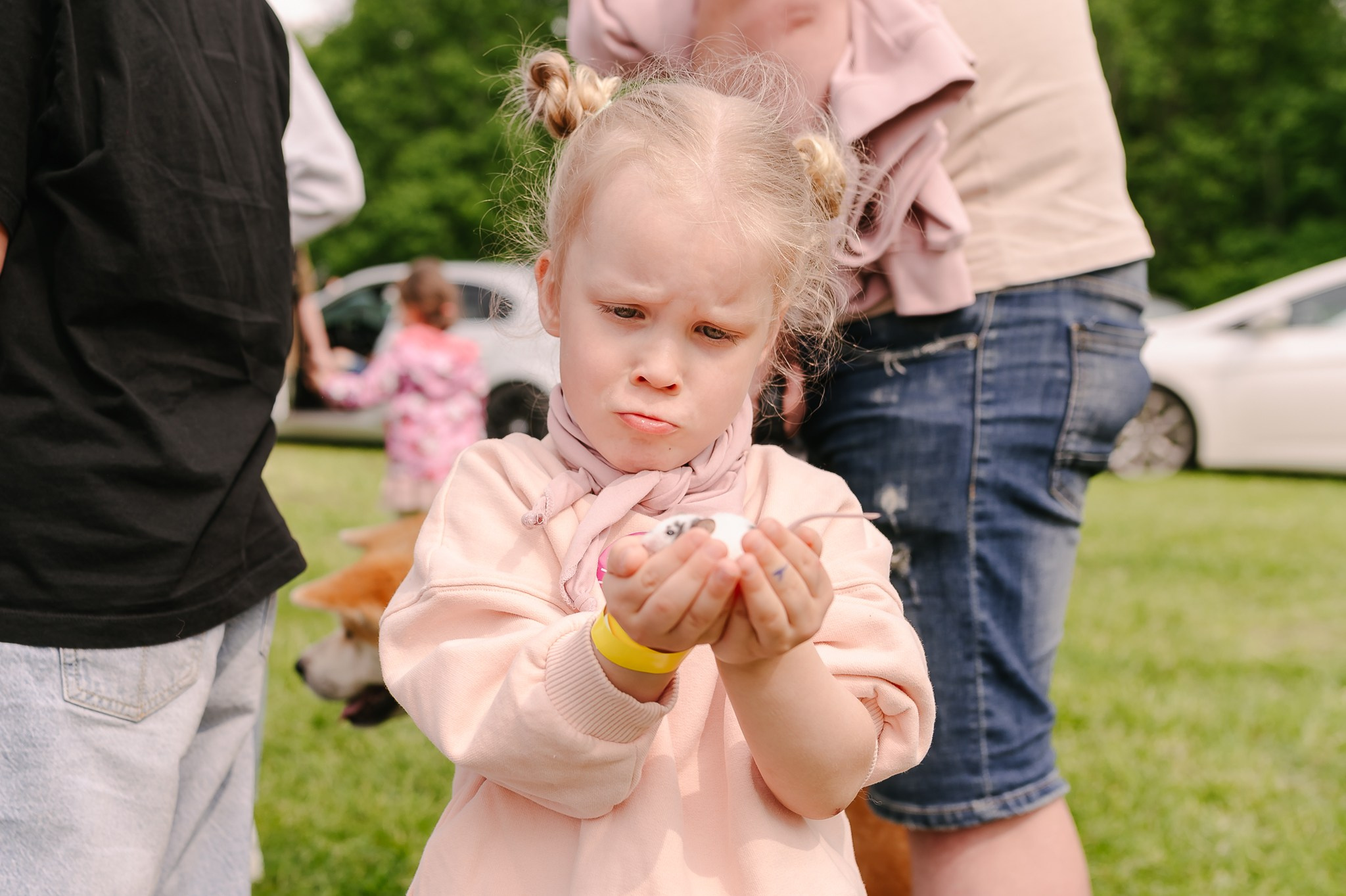 Saulė virė | Laimės festivalis. Rokas Baranauskas fotografija