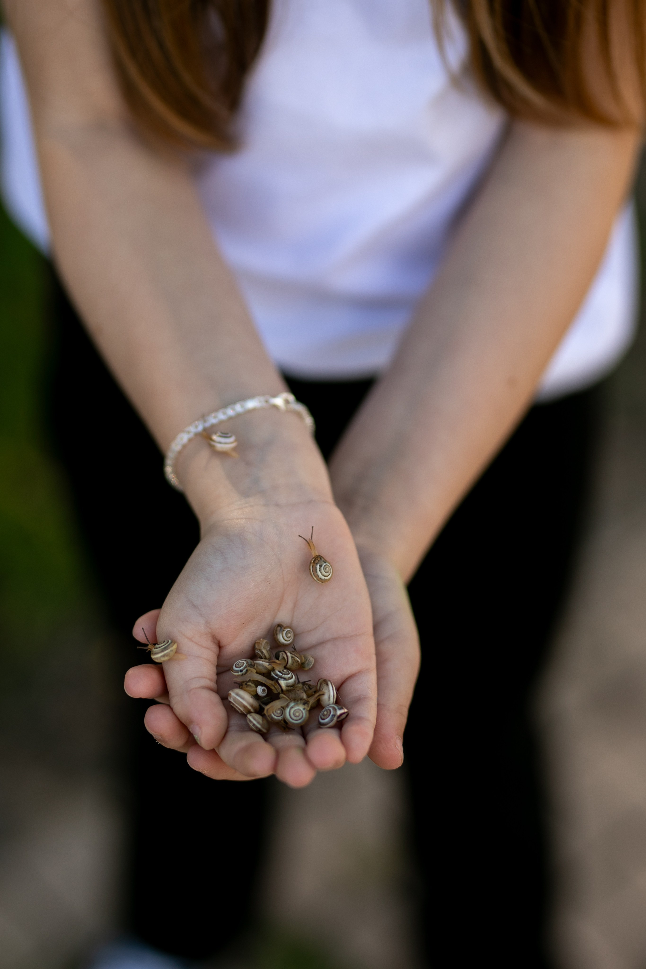 משפחה. נטליה רוזמן צלמת הריון ניובורן ילדים ובוק בת מצווה