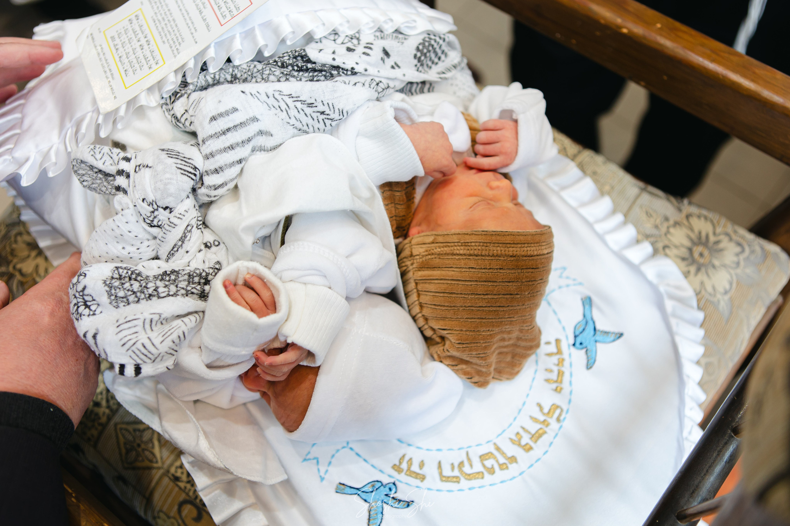 BRIT TWINS. Https://shi-photo.com/