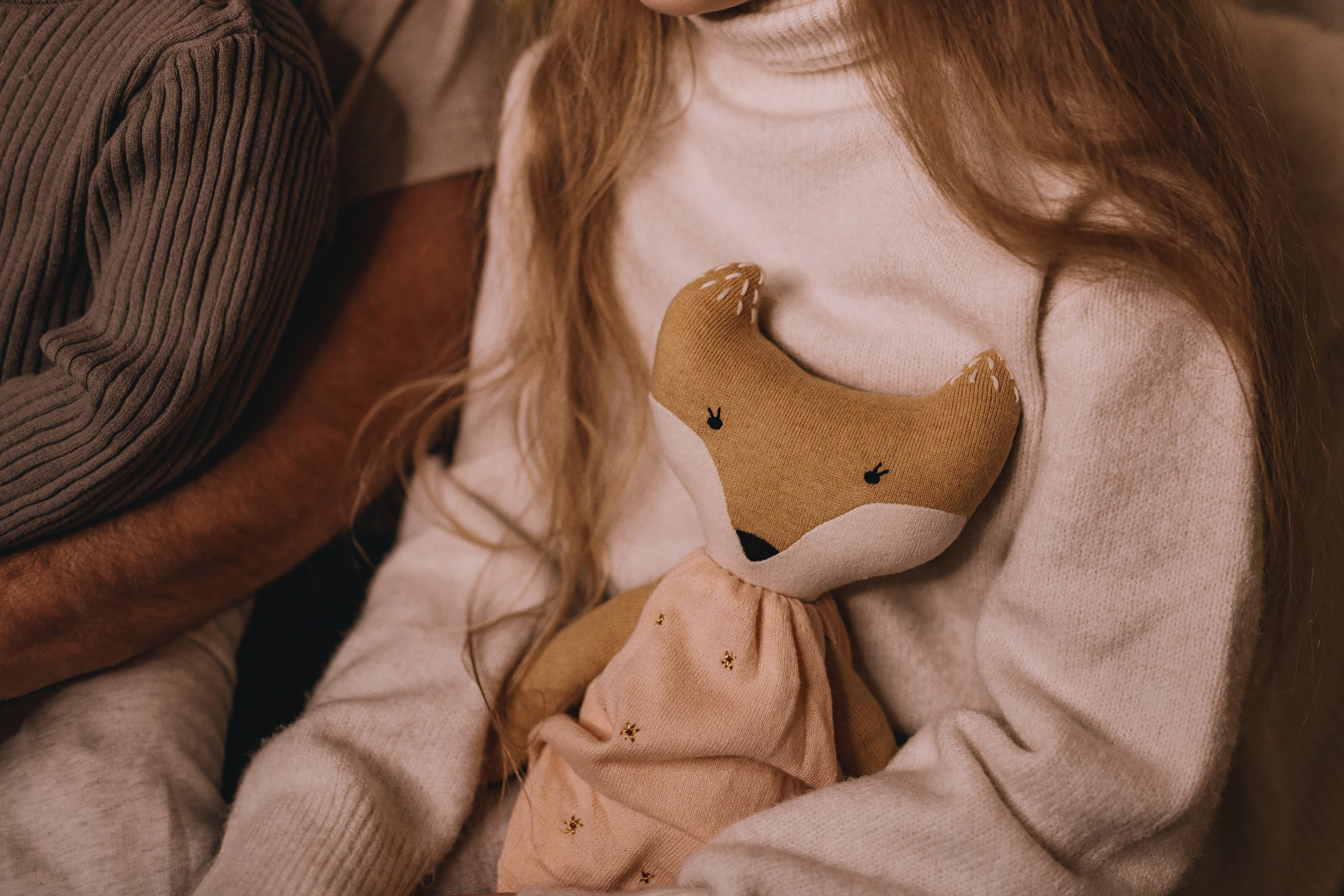 11.15.2025 Christmas Photoshoot. Wedding family event photographer in Chicago Nick Yushevich