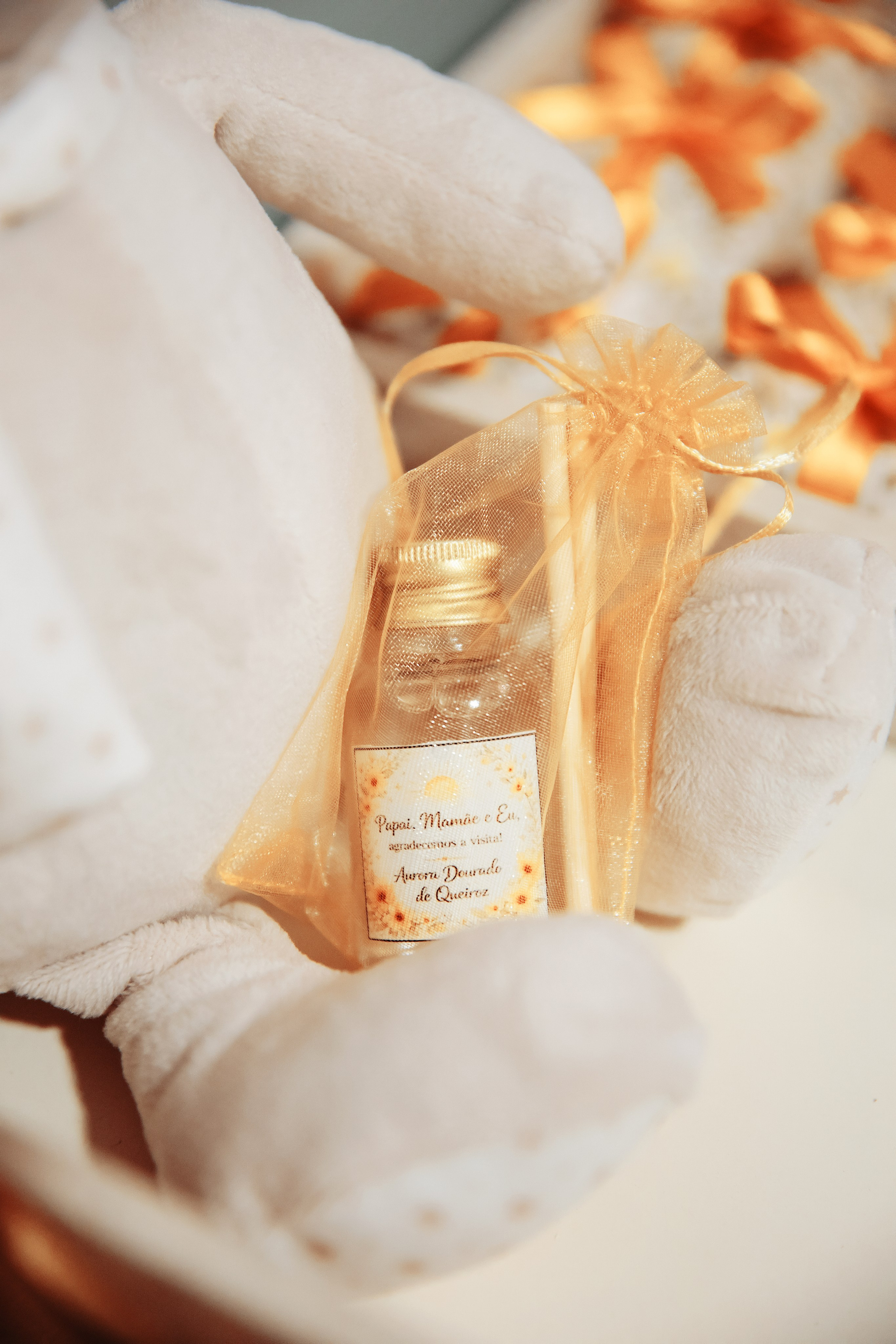 AURORA. Eu Talyssa Mendonça (Fotógrafa, Goiânia — GO)