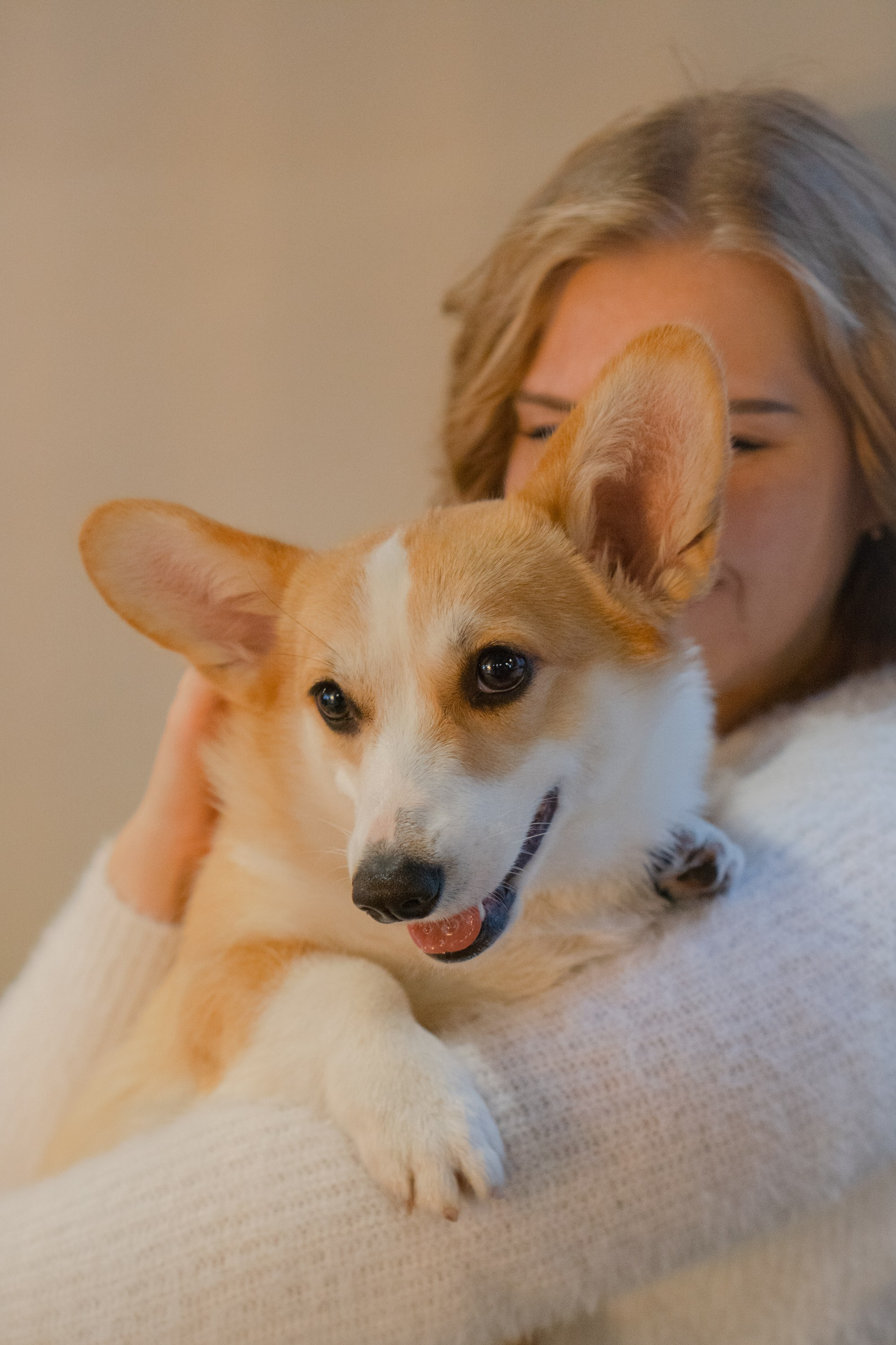 Maarika, Jegor and their Luna, Pembroke Welsh Corgi. Kat Laisaar — Pet photographer in Tallinn