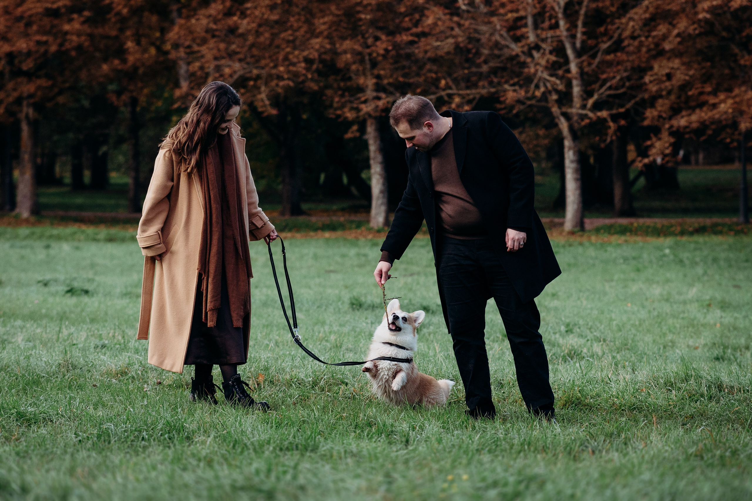 Liisa, Alexander & Marsel. Фотограф-анималист в Таллинне, Катя Лайсаар