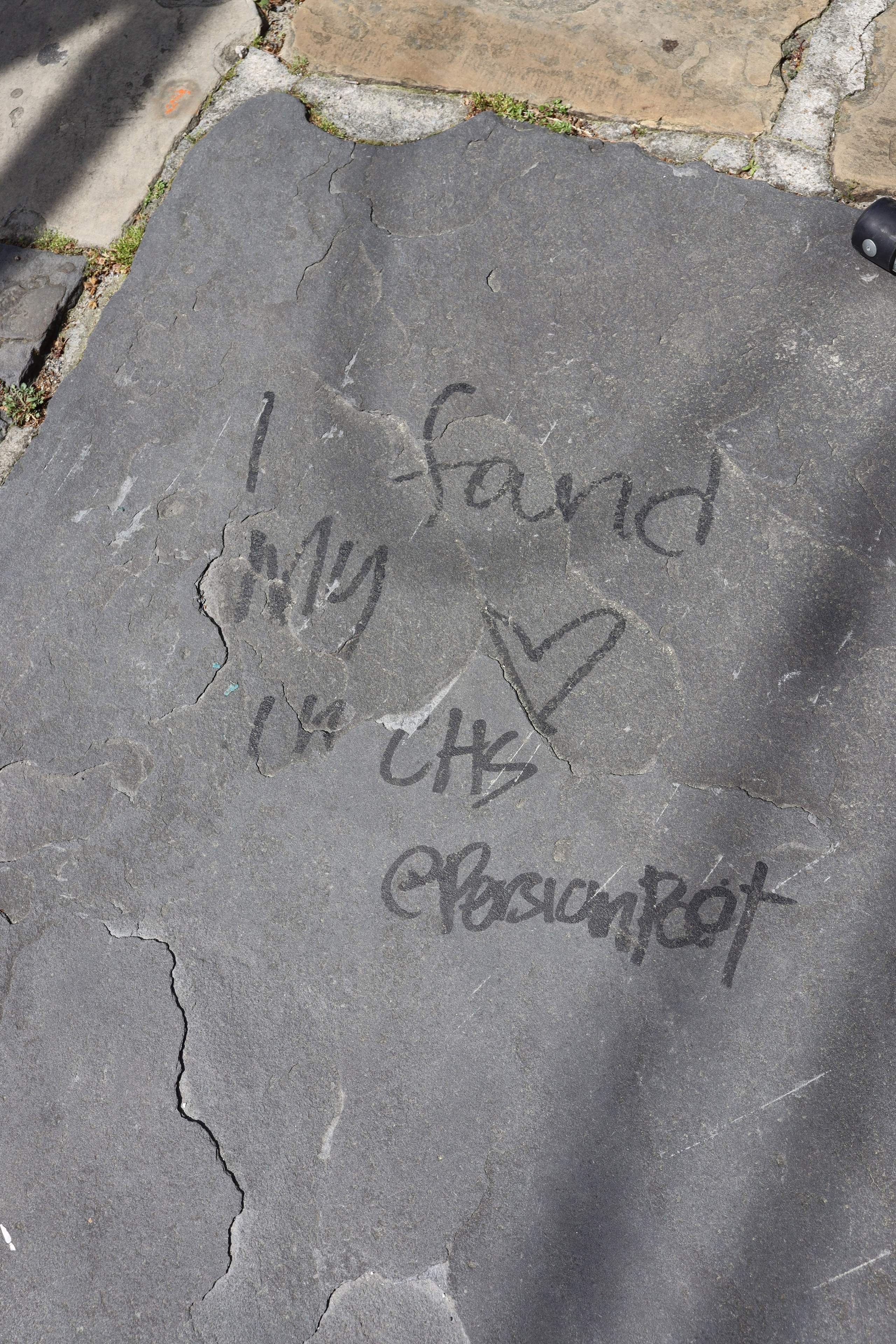 Colour. Sonny Photos