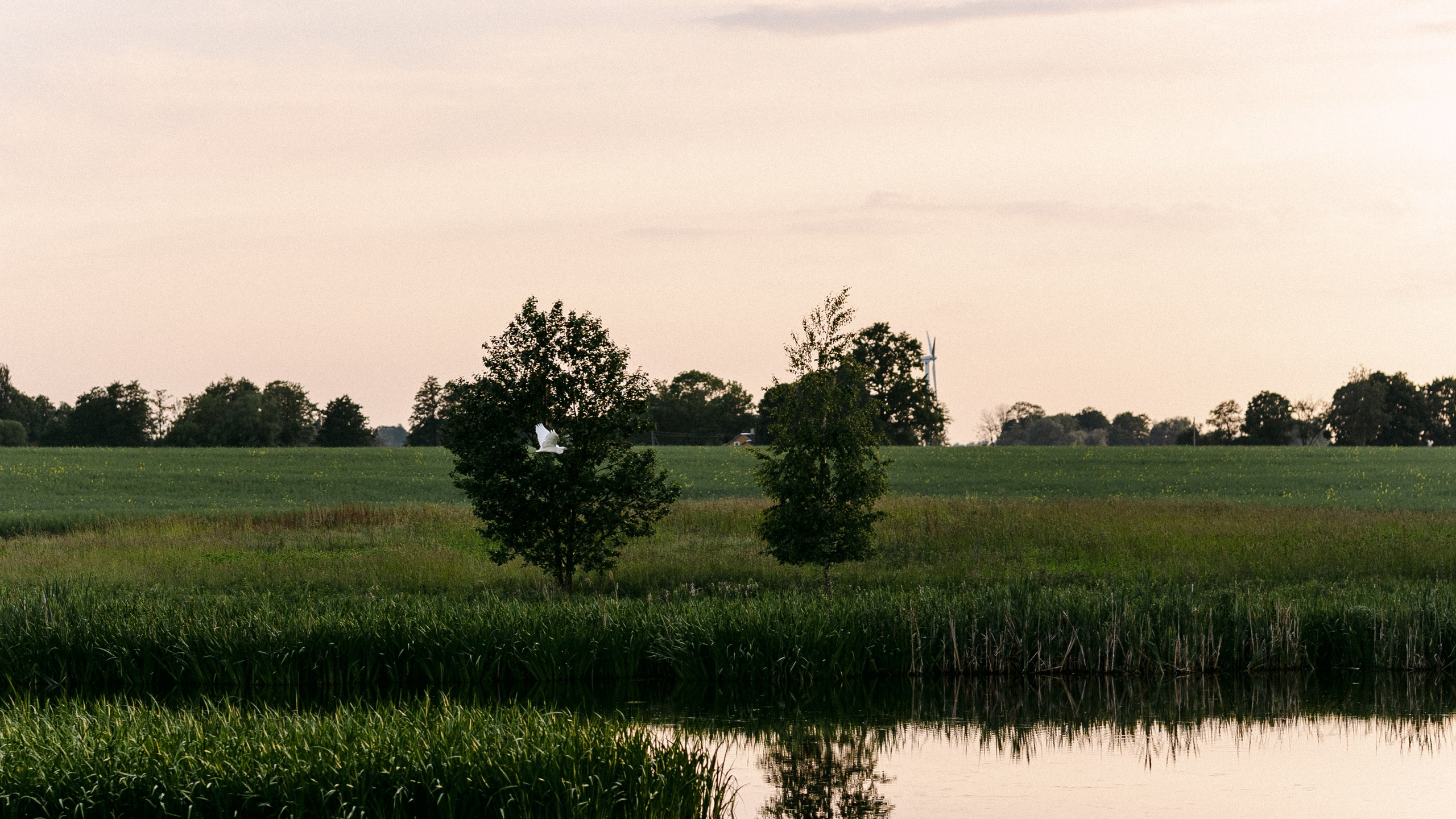 Judita & Šarūnas. Vestuvių fotografė Neringa Brazaitienė | Vilnius, Kaunas, Visa Lietuva