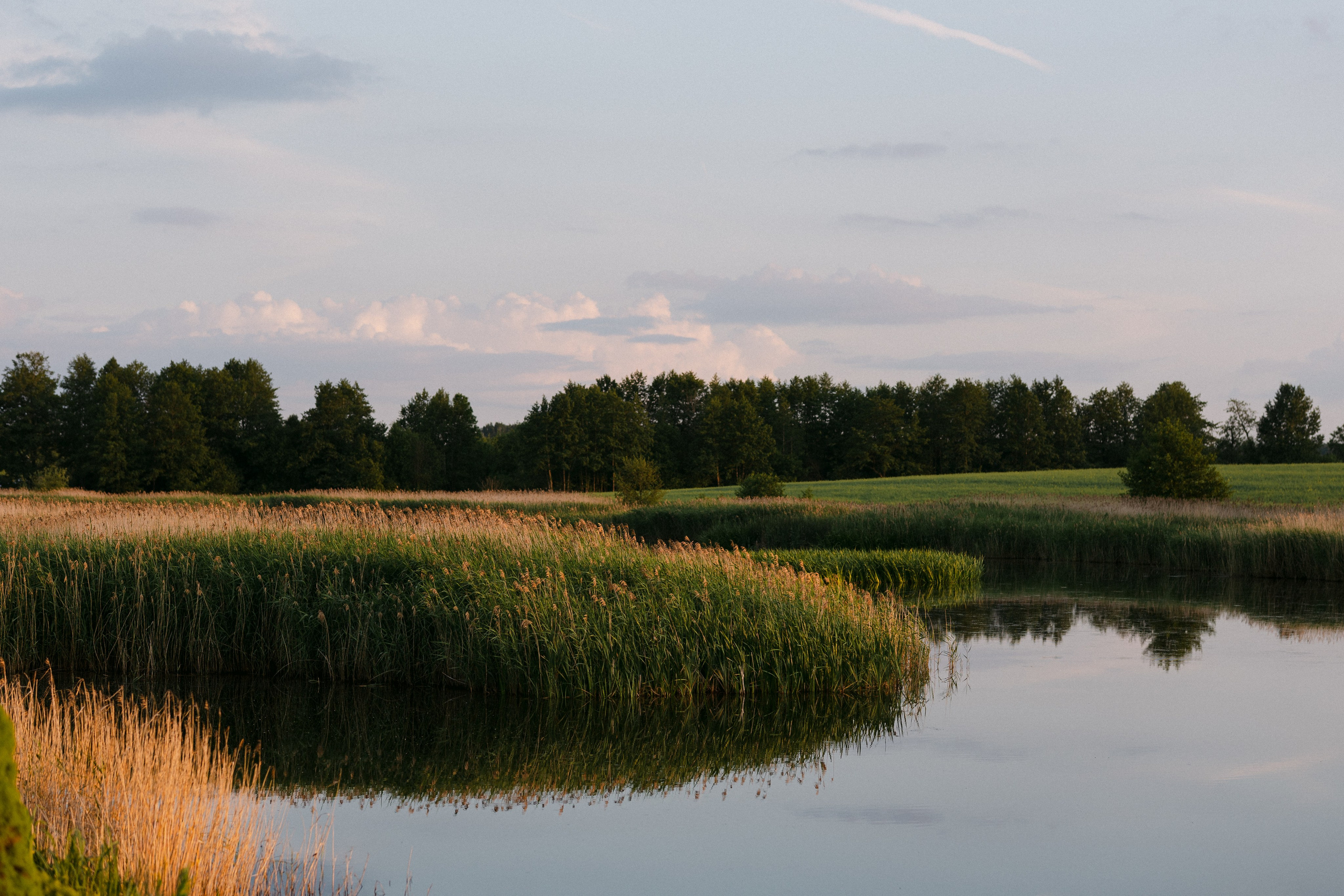 Judita & Šarūnas. Vestuvių fotografė Neringa Brazaitienė | Vilnius, Kaunas, Visa Lietuva