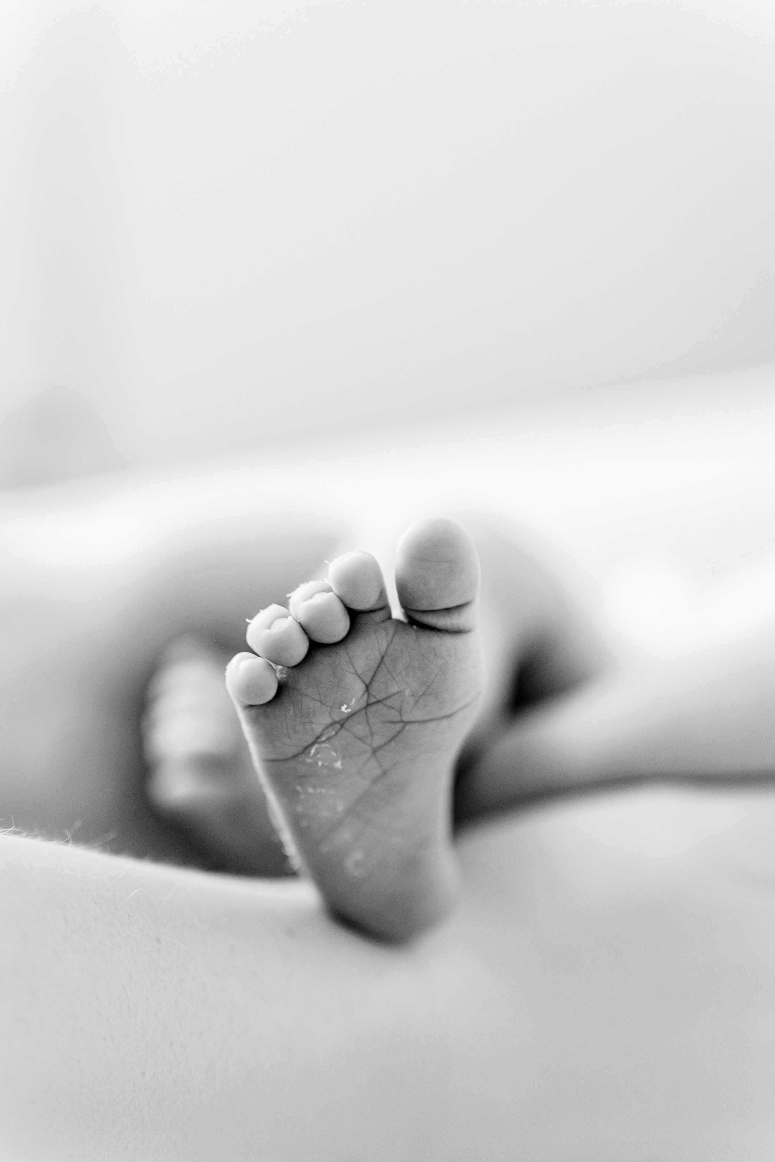 New born. Photographer in Portugal Polina Gotovaya