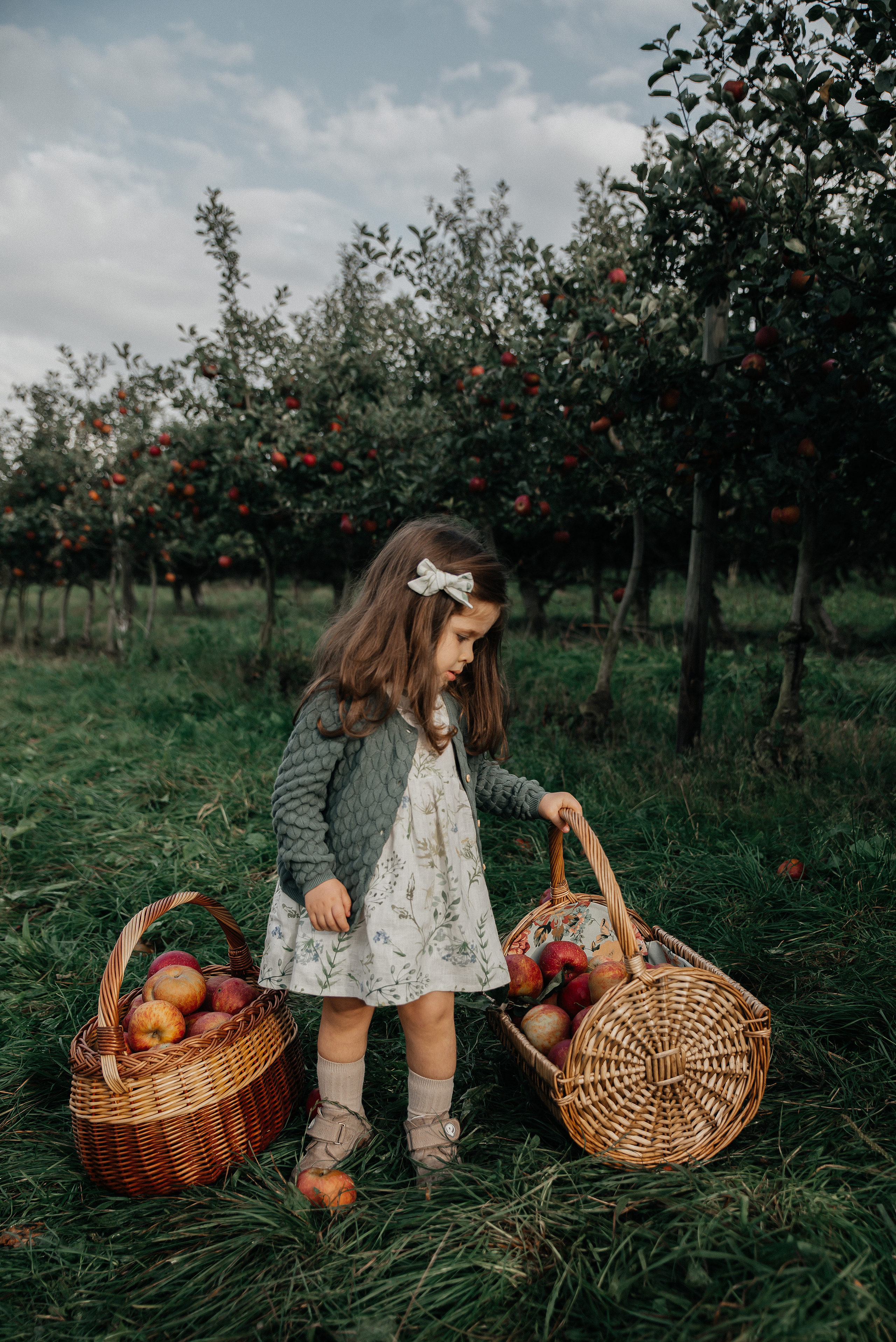 Apfelgarten. Maria Langlitz Photography