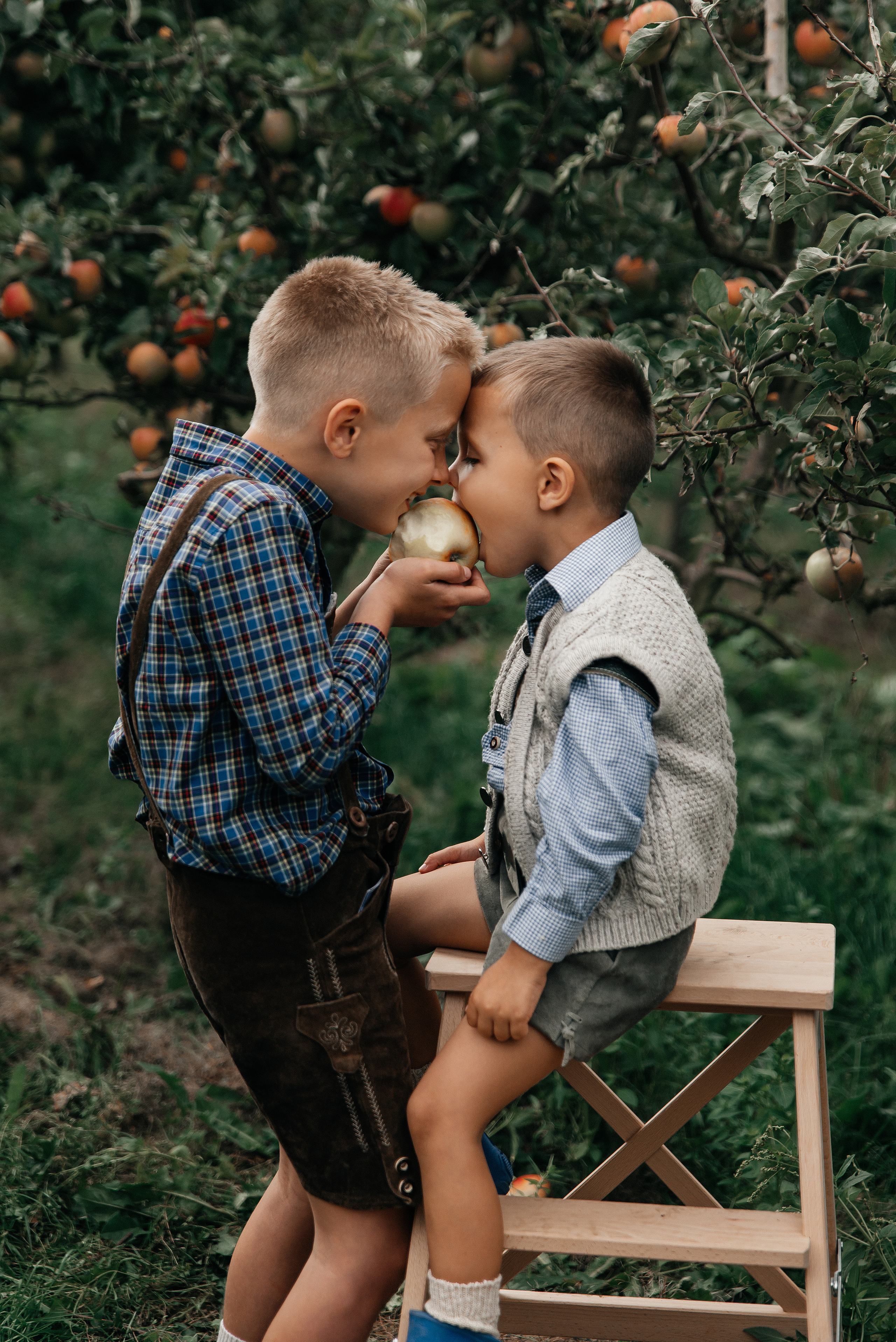 Apfelgarten. Maria Langlitz Photography