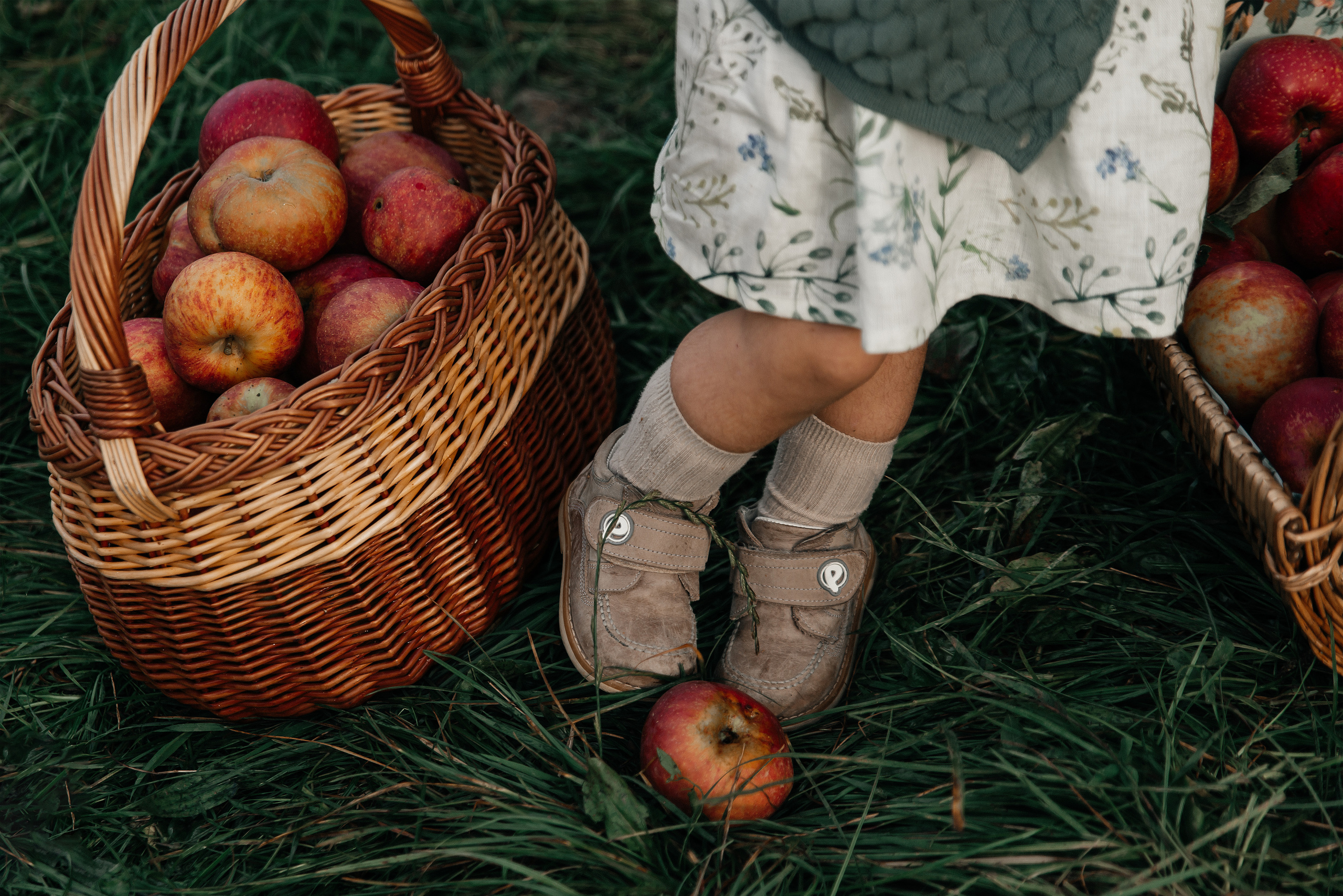 Apfelgarten. Maria Langlitz Photography