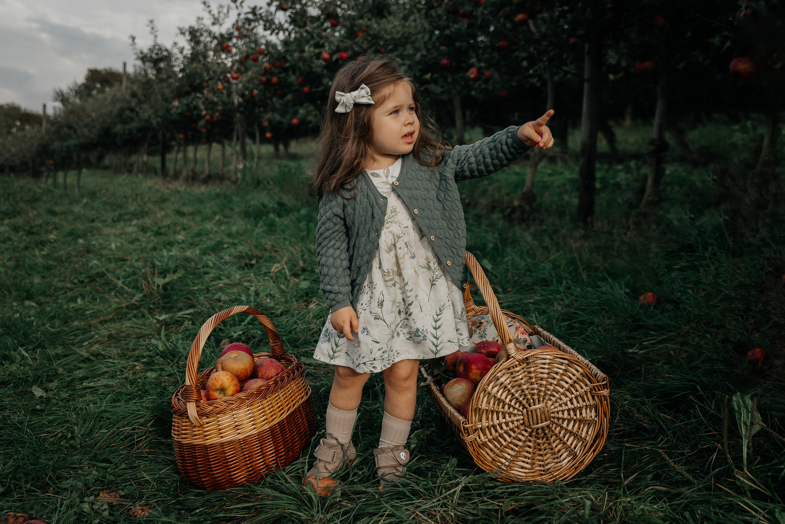 Apfelgarten. Maria Langlitz Photography