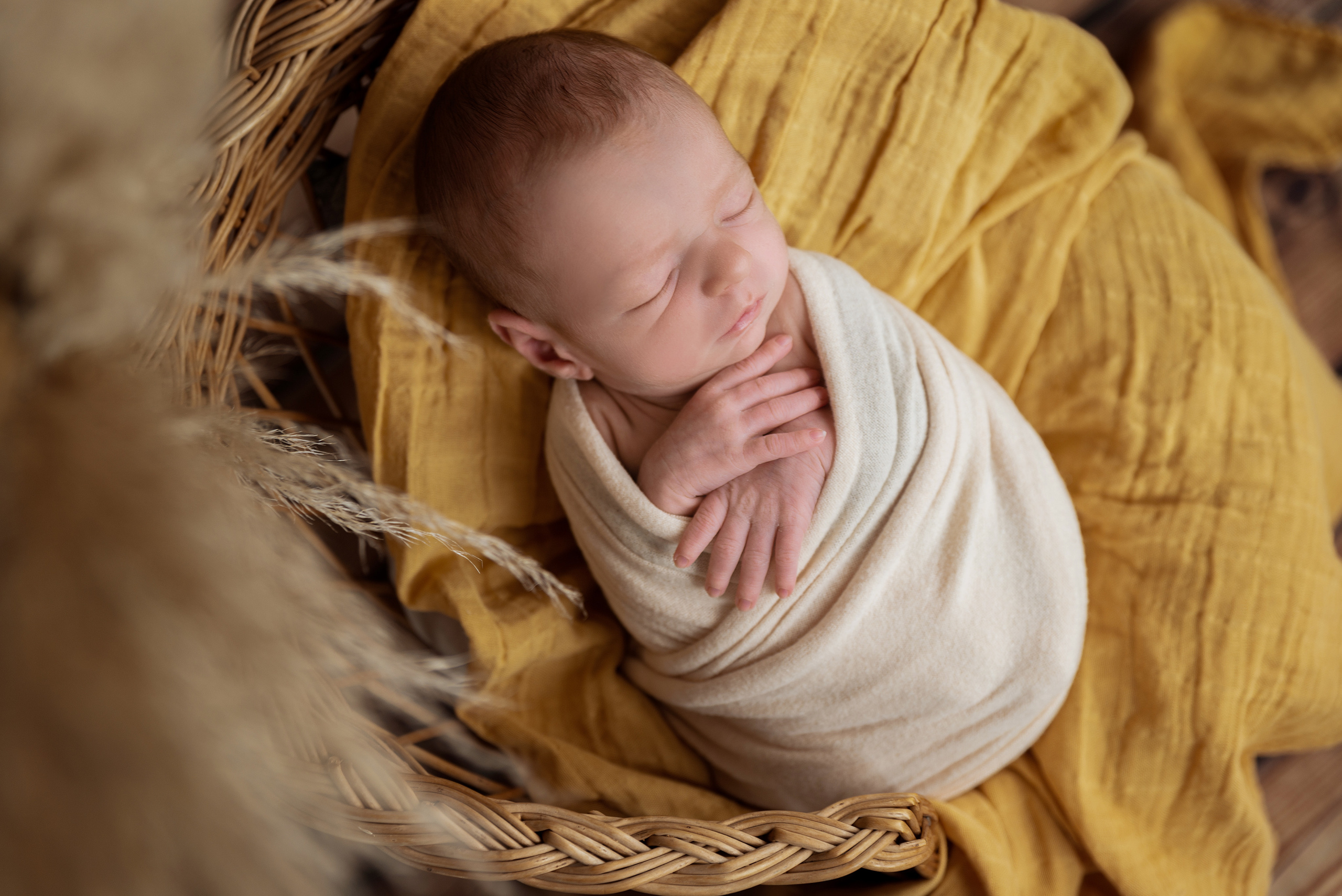 Newborn. Maria Langlitz Photography