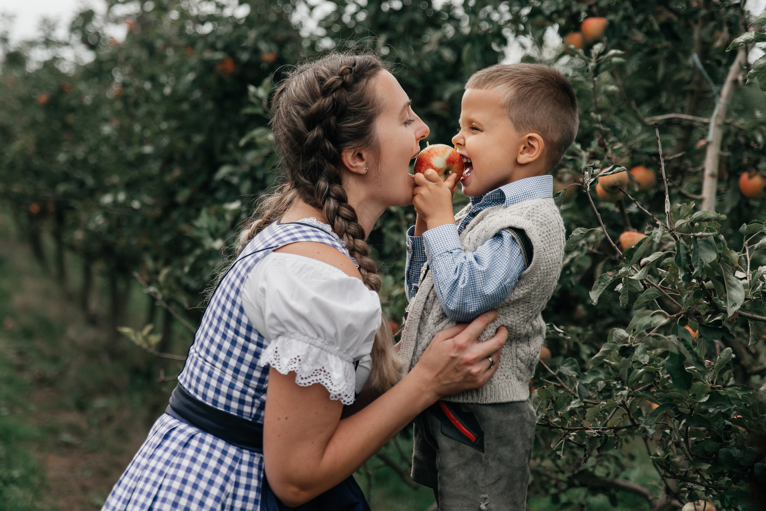 Apfelgarten. Maria Langlitz Photography