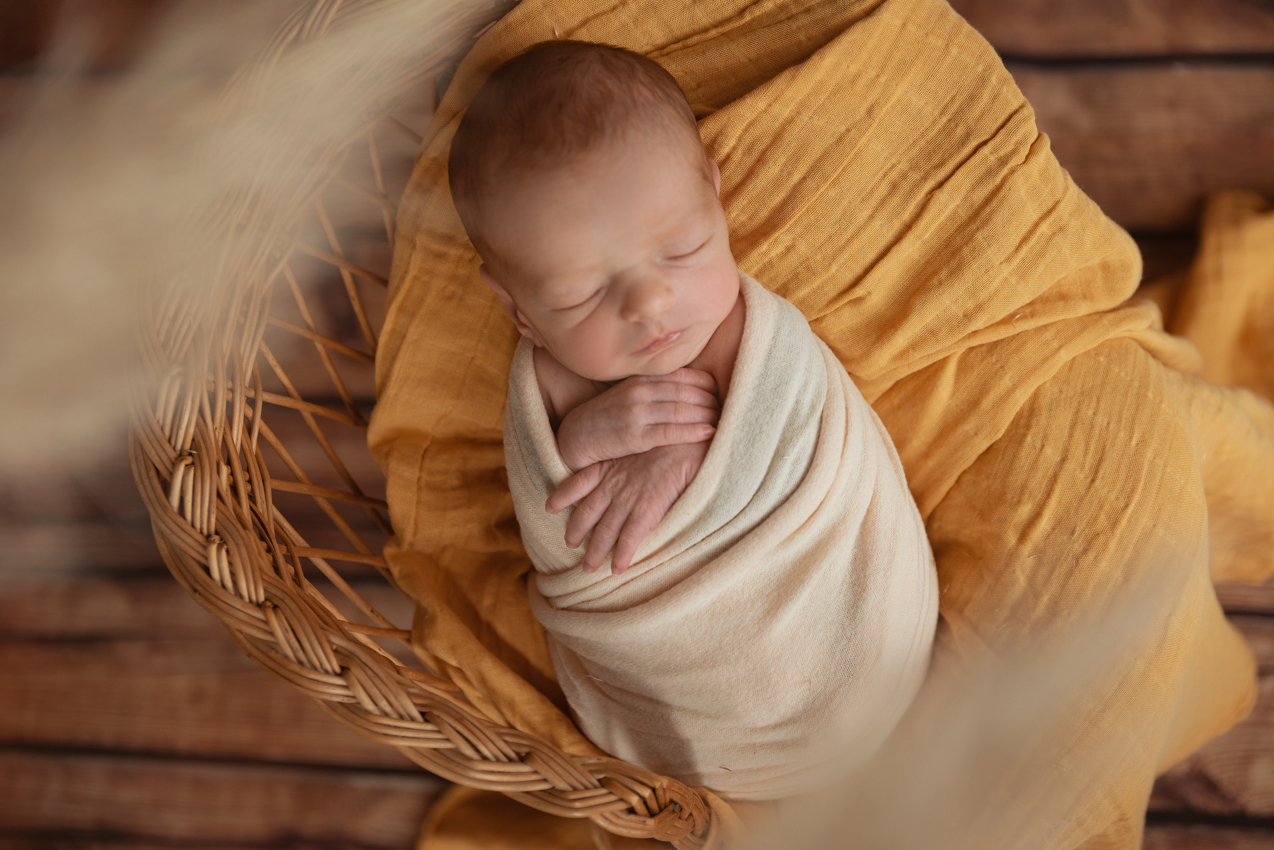 Newborn. Maria Langlitz Photography
