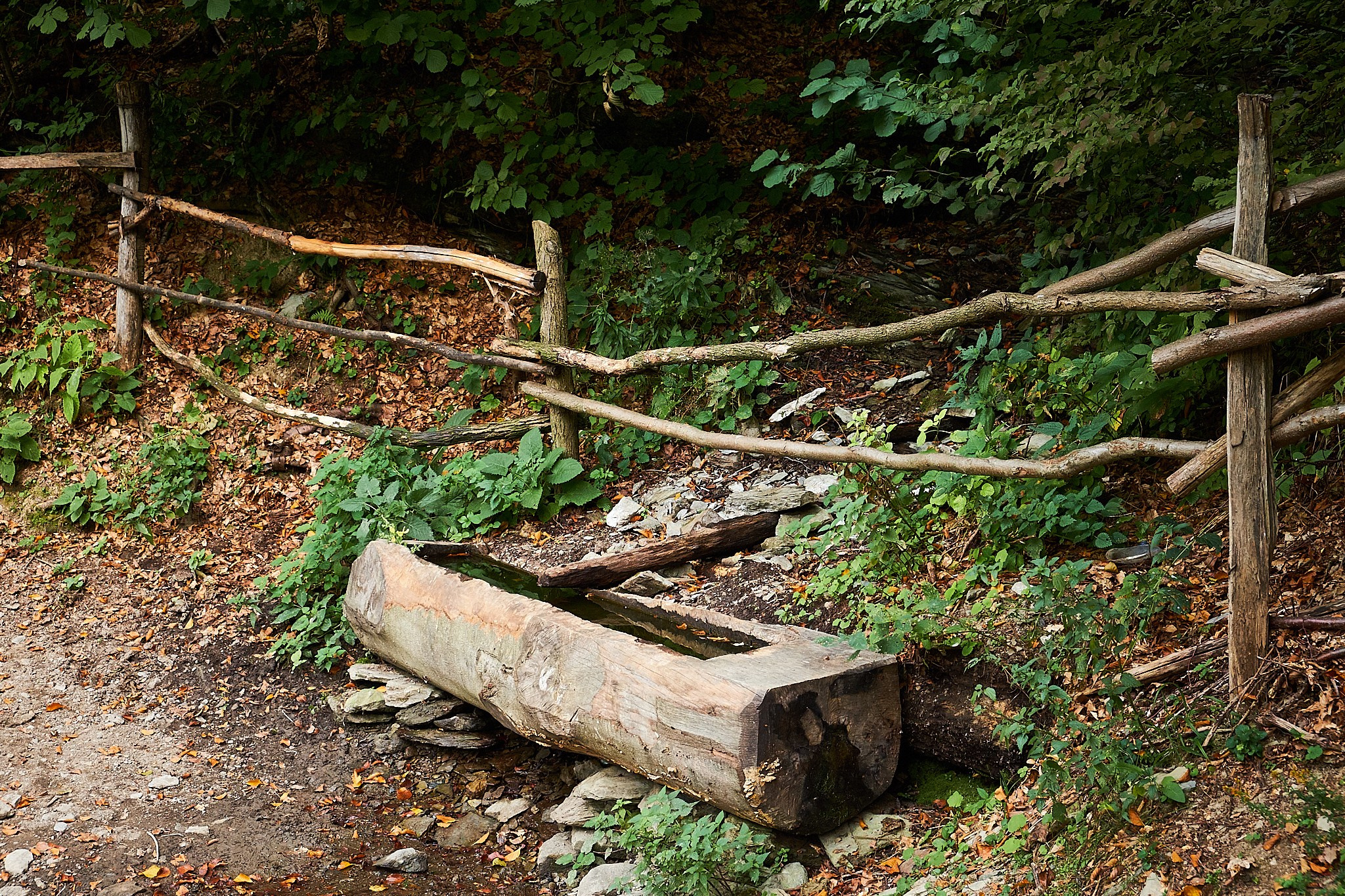 Ineleț, jud. Caraș-Severin. Pagina principală