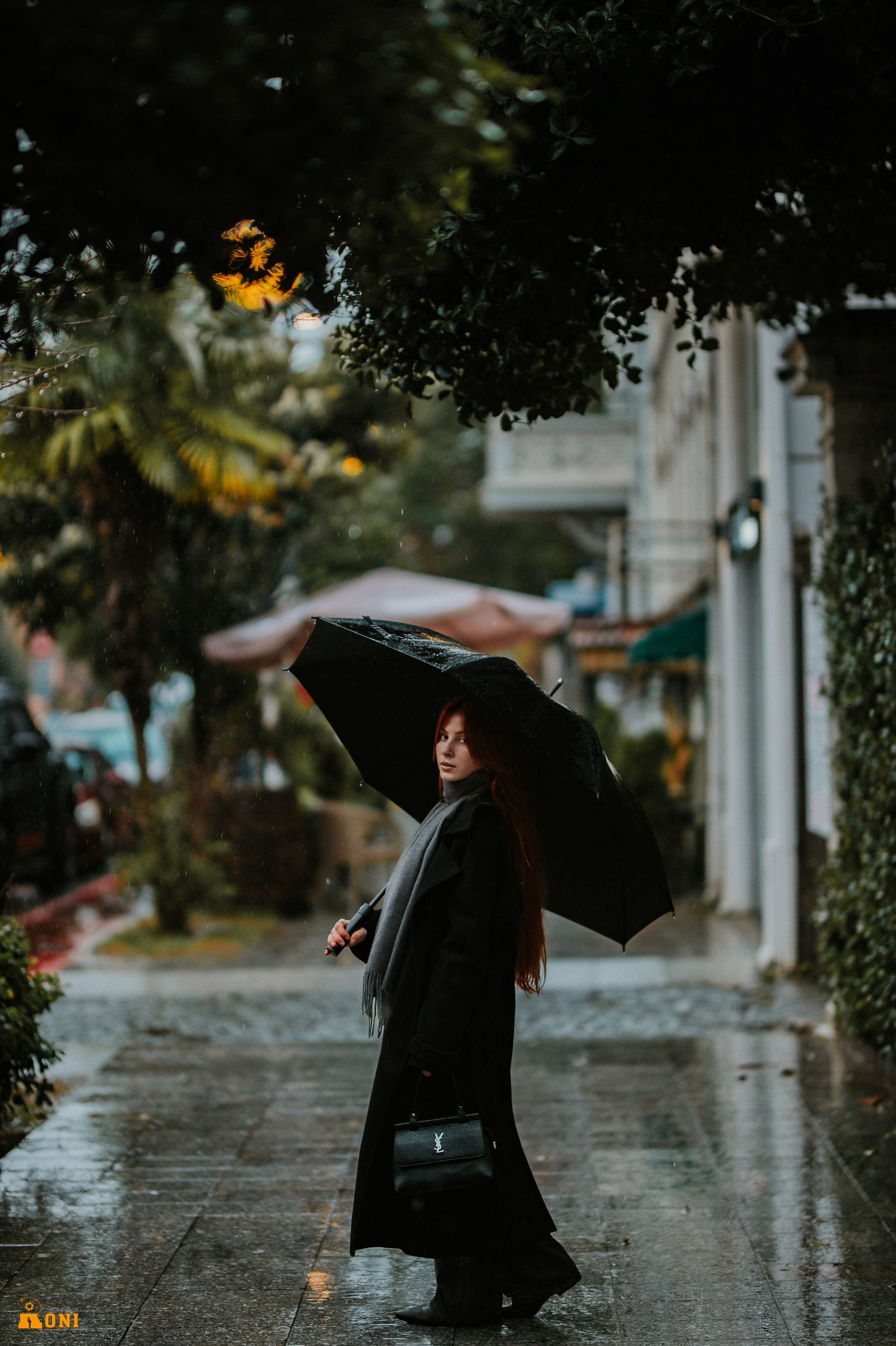 Personal Photo Session