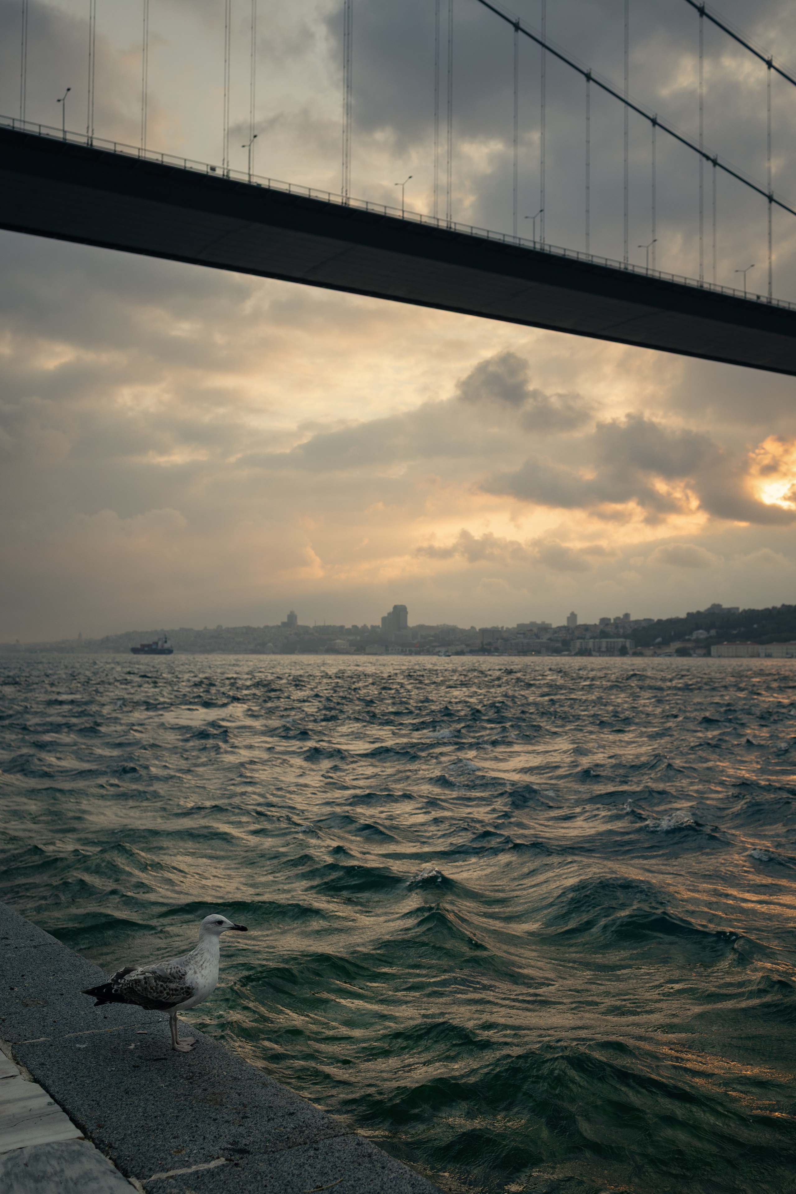Street. Zlata Zengin, Photographer in Istanbul