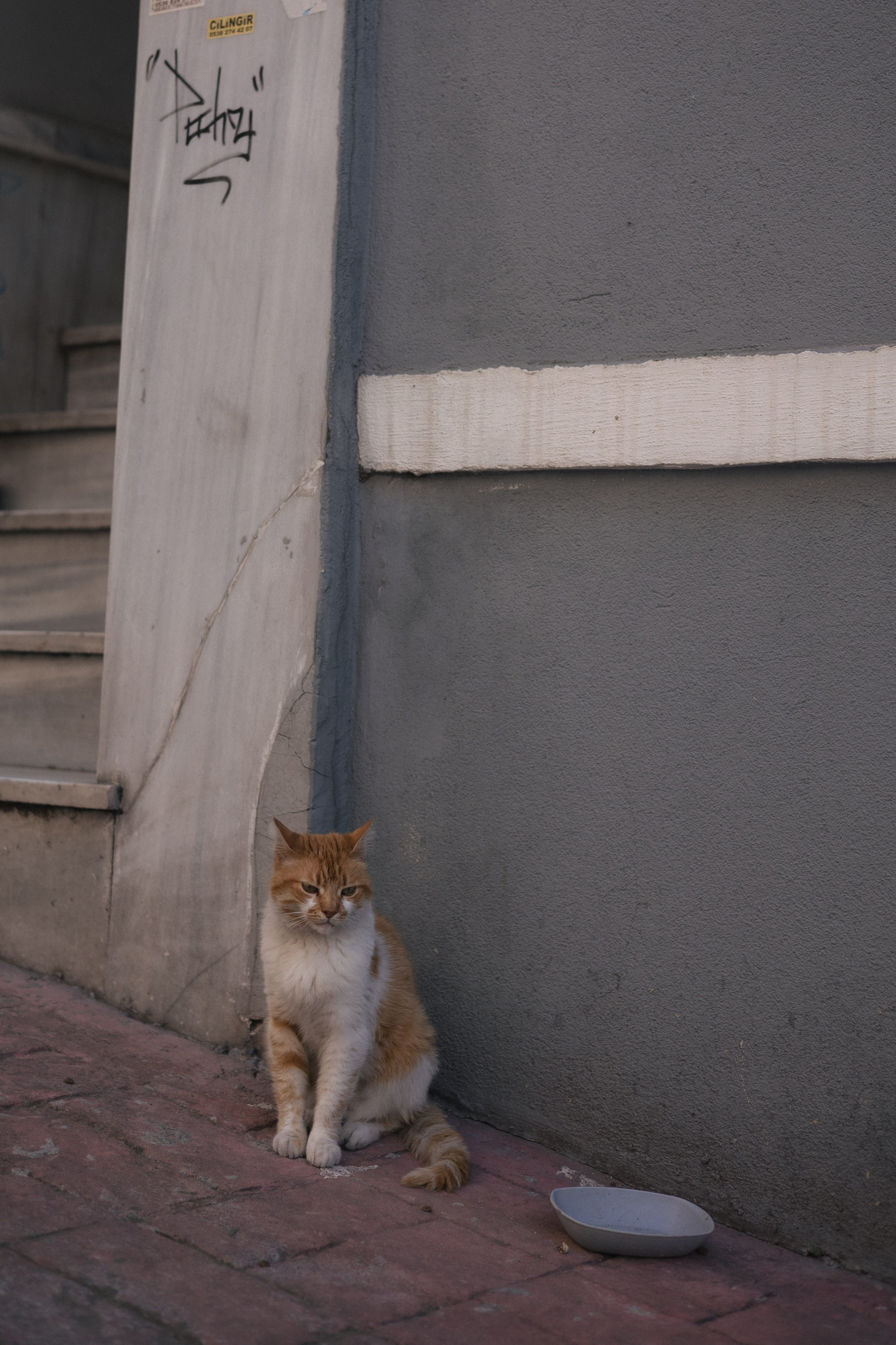 Street. Zlata Zengin, Photographer in Istanbul
