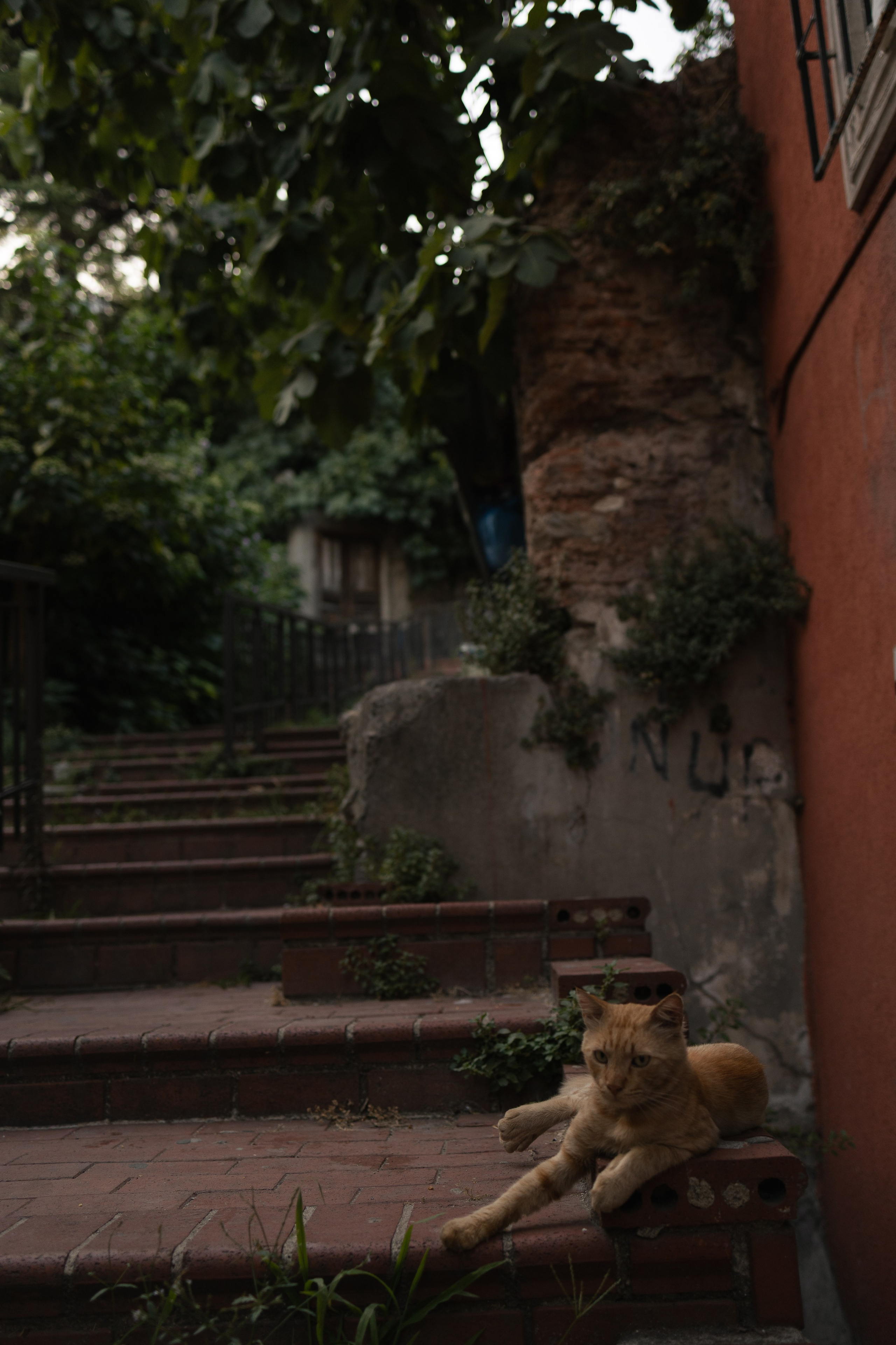 Street. Zlata Zengin, Photographer in Istanbul