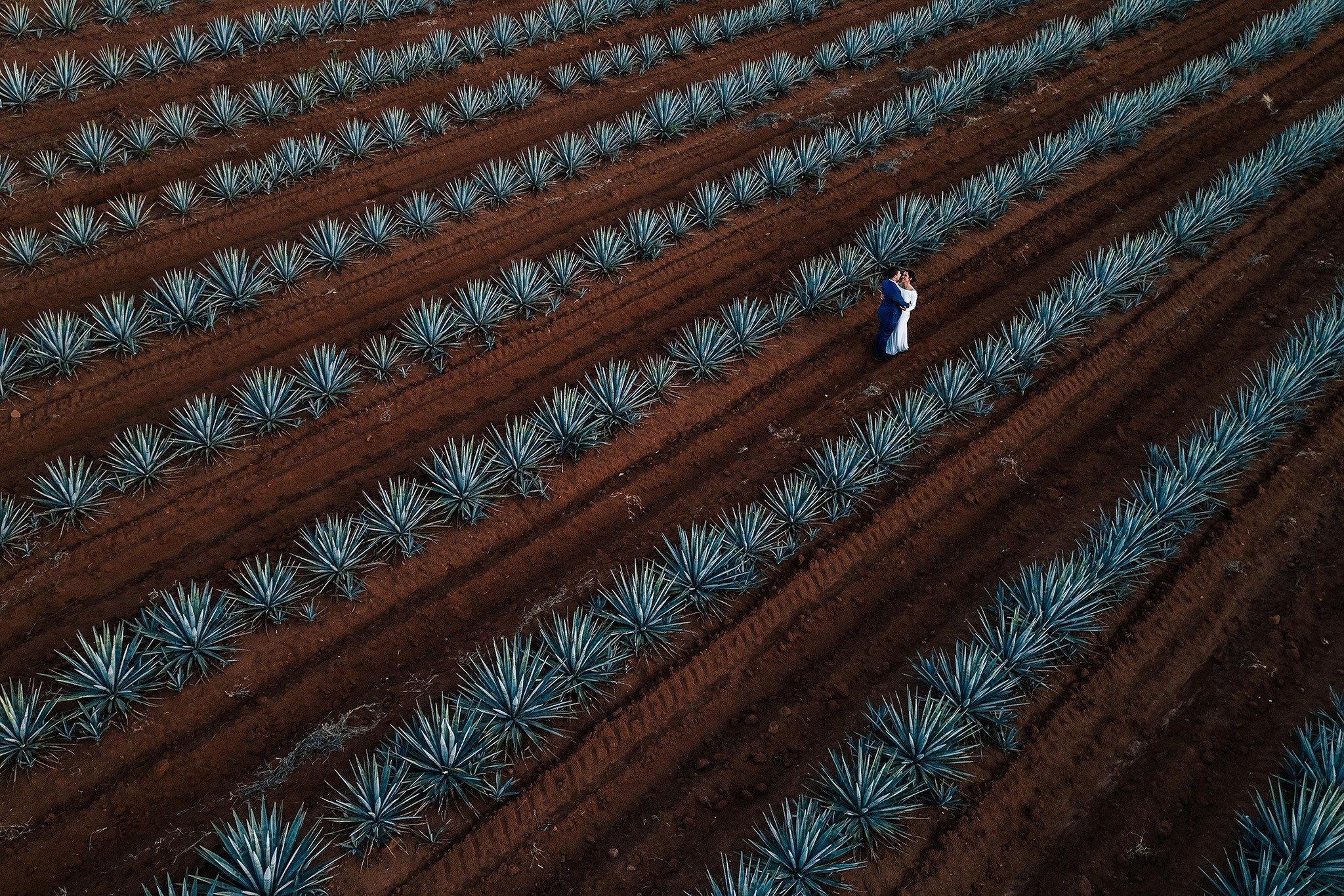 Jorge Romero Fotógrafo de bodas