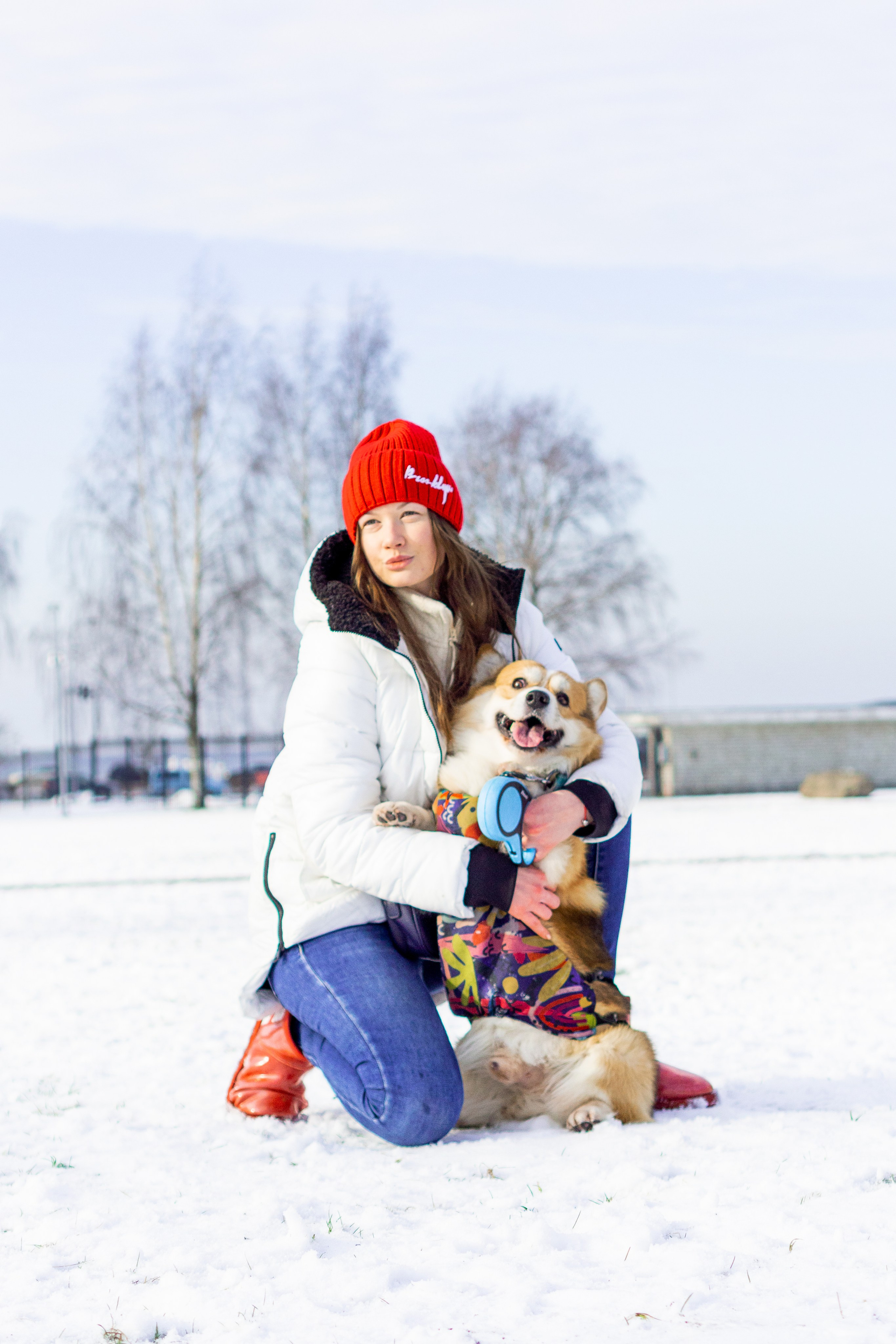 Corgi party, 23 feb. 2025. Kat Laisaar — Pet photographer in Tallinn