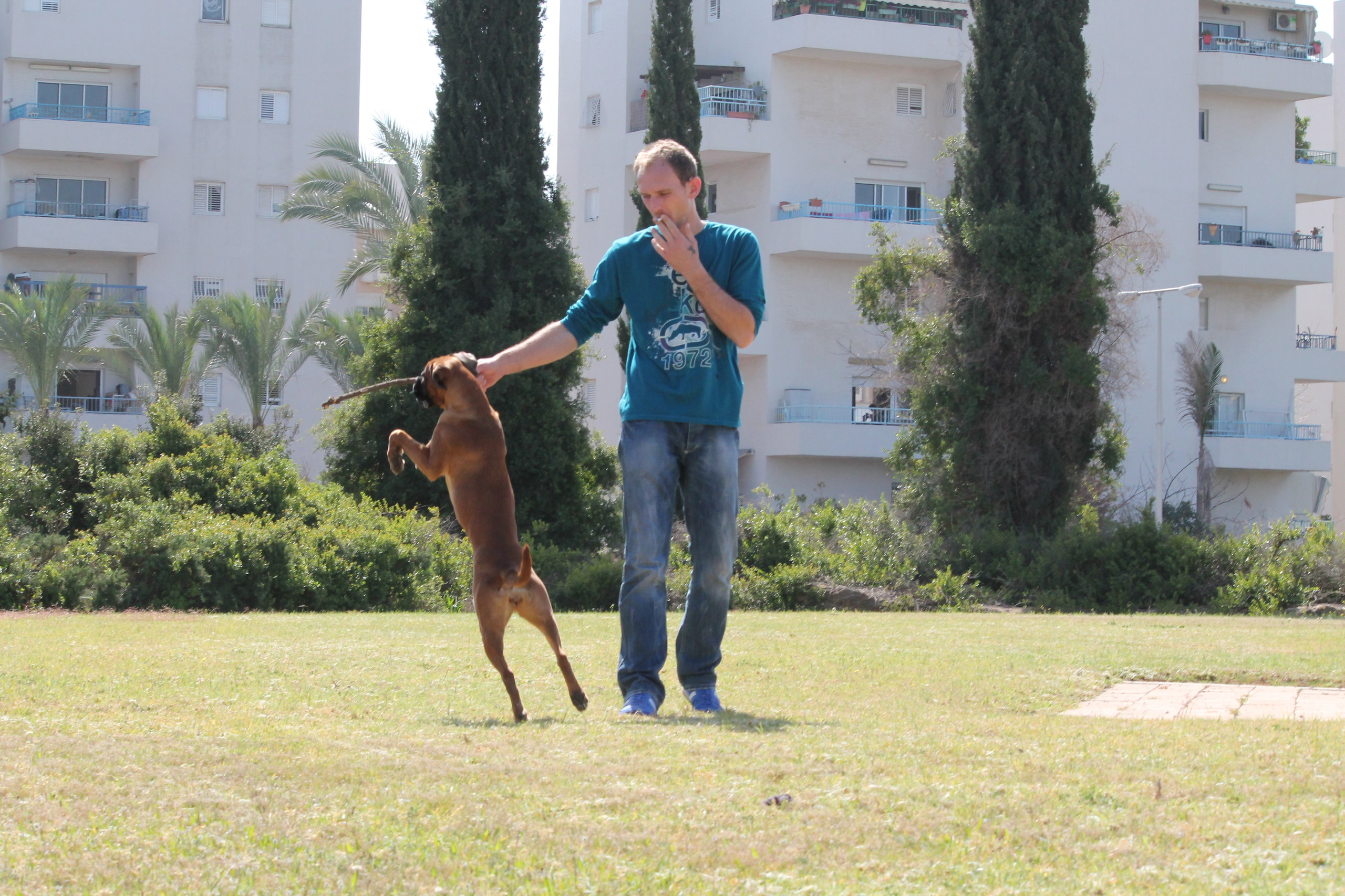 My ״Star״ Boxer Dog