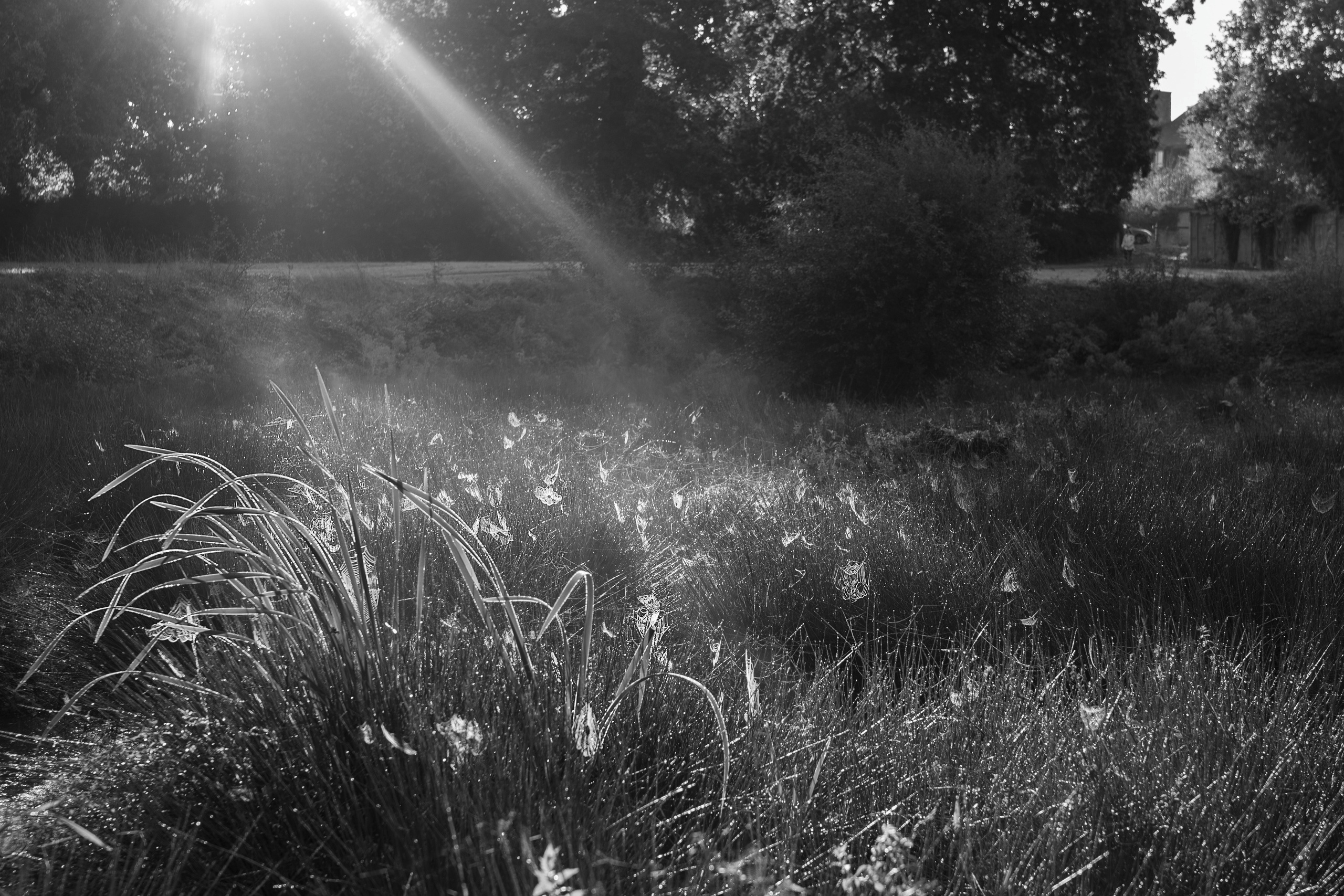 Paysages. Portrais créatifs de familles et individuels, Ile et Vilaine, France