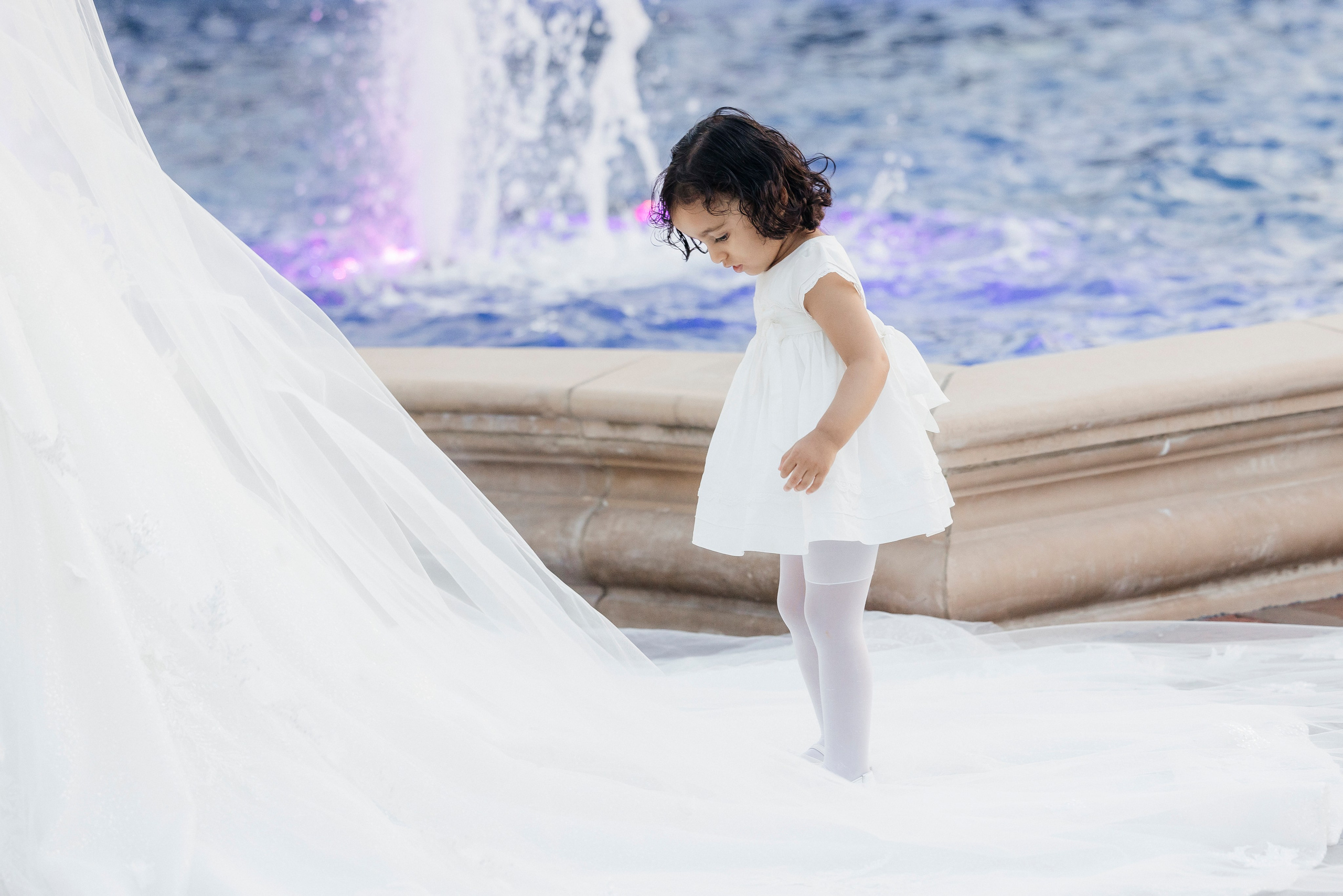 Mahmoud & Lana. Wedding Photo & Video