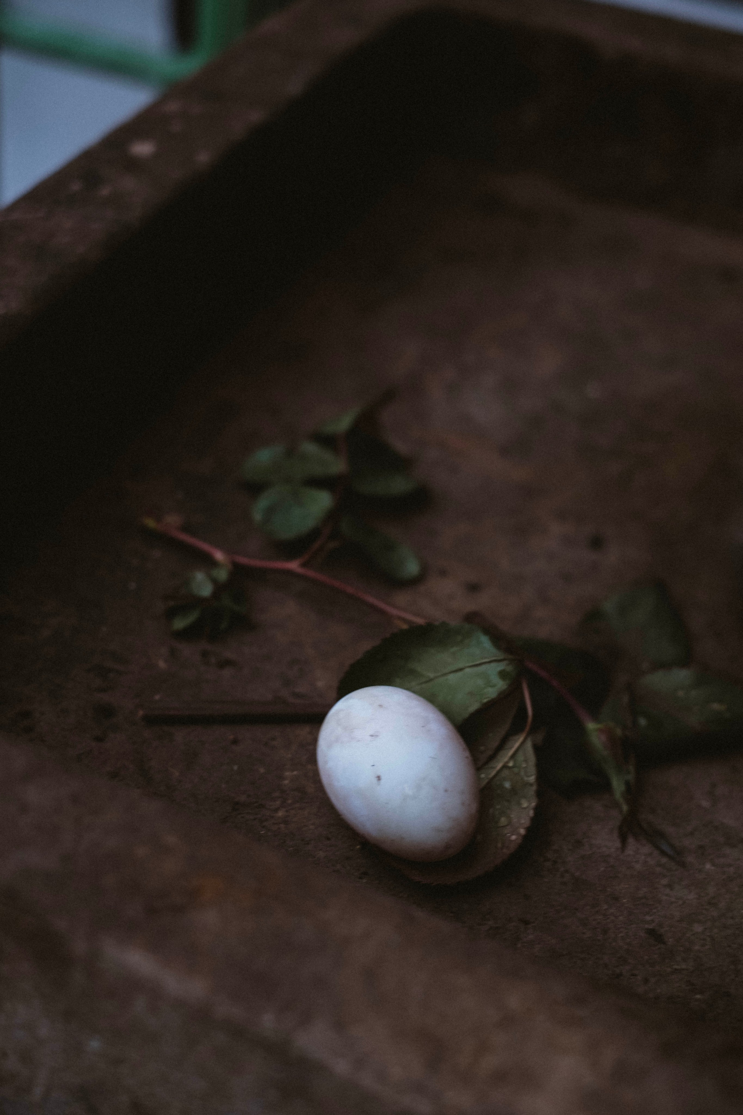 One year in a 500 years old house. Authentische Familienfotografie in Köln