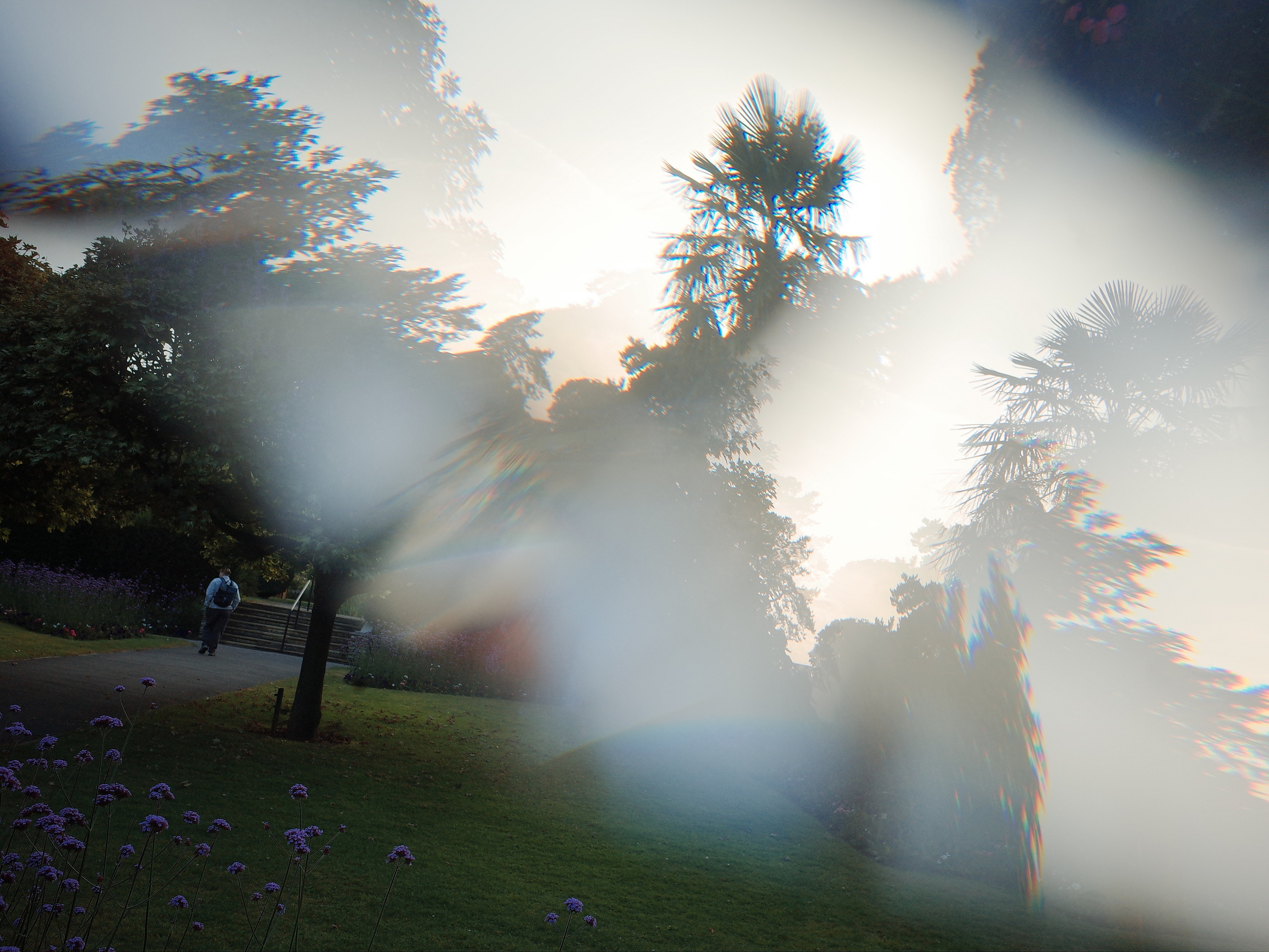 Garden of Forking Paths. Victoria Dini. Art photography in London / Folkestone, UK