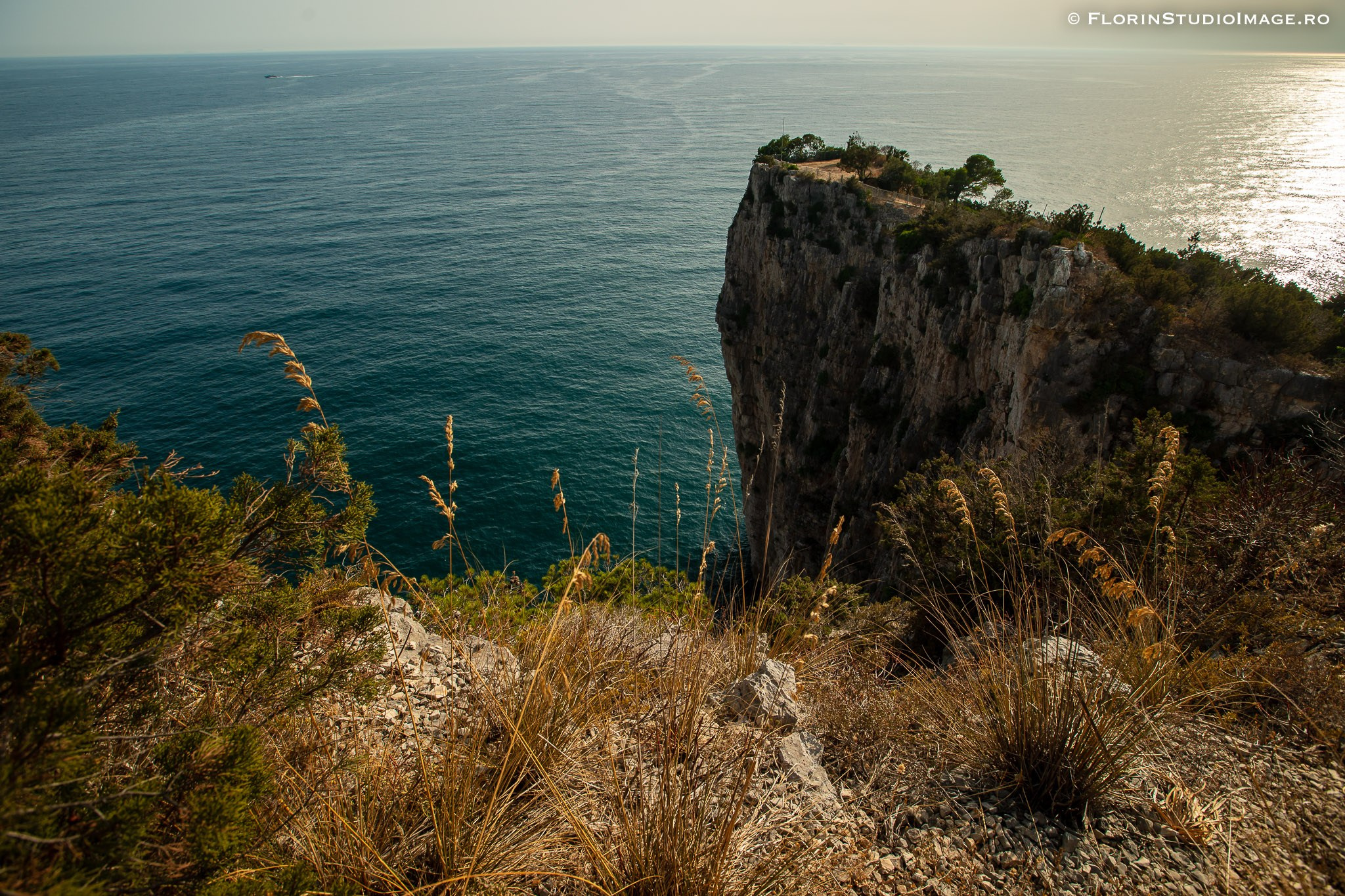 TTD Beatrice & Andrei