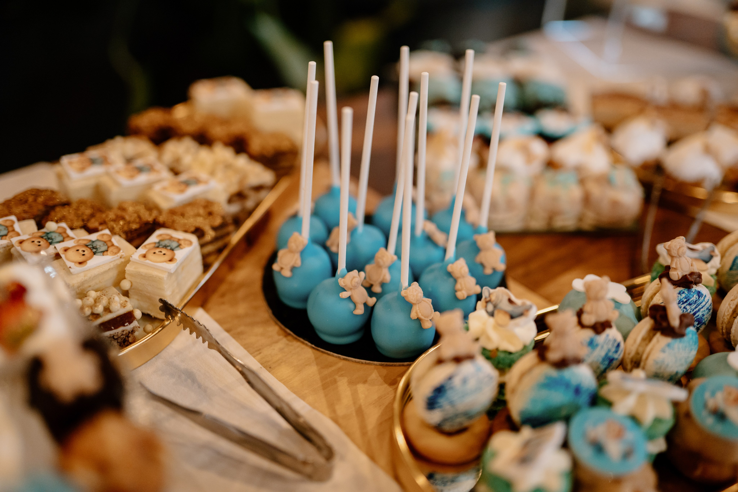 Amza — 1 year. Gabrielacojocariu.com