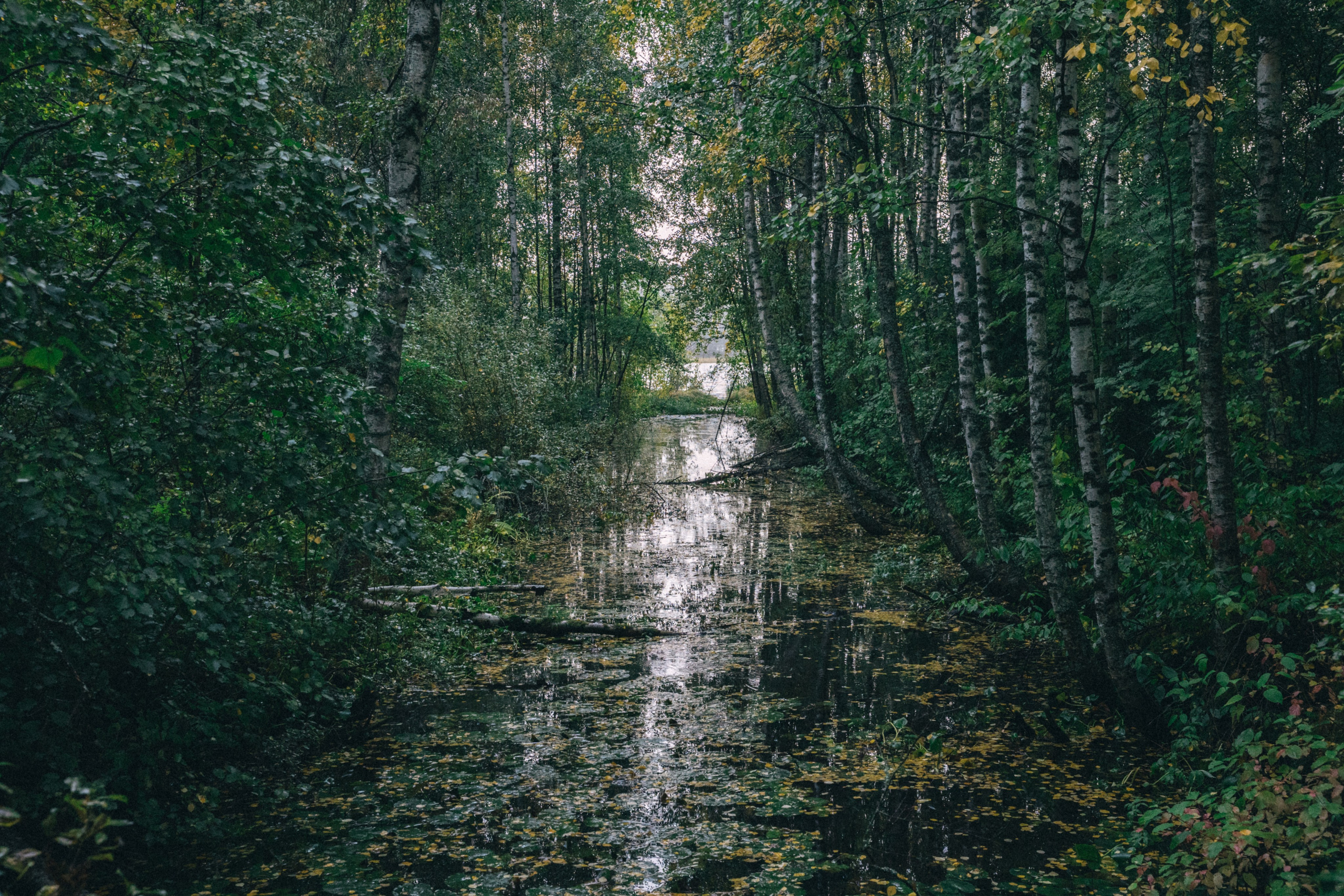 Friends or foes. Maija Bondar Photographer