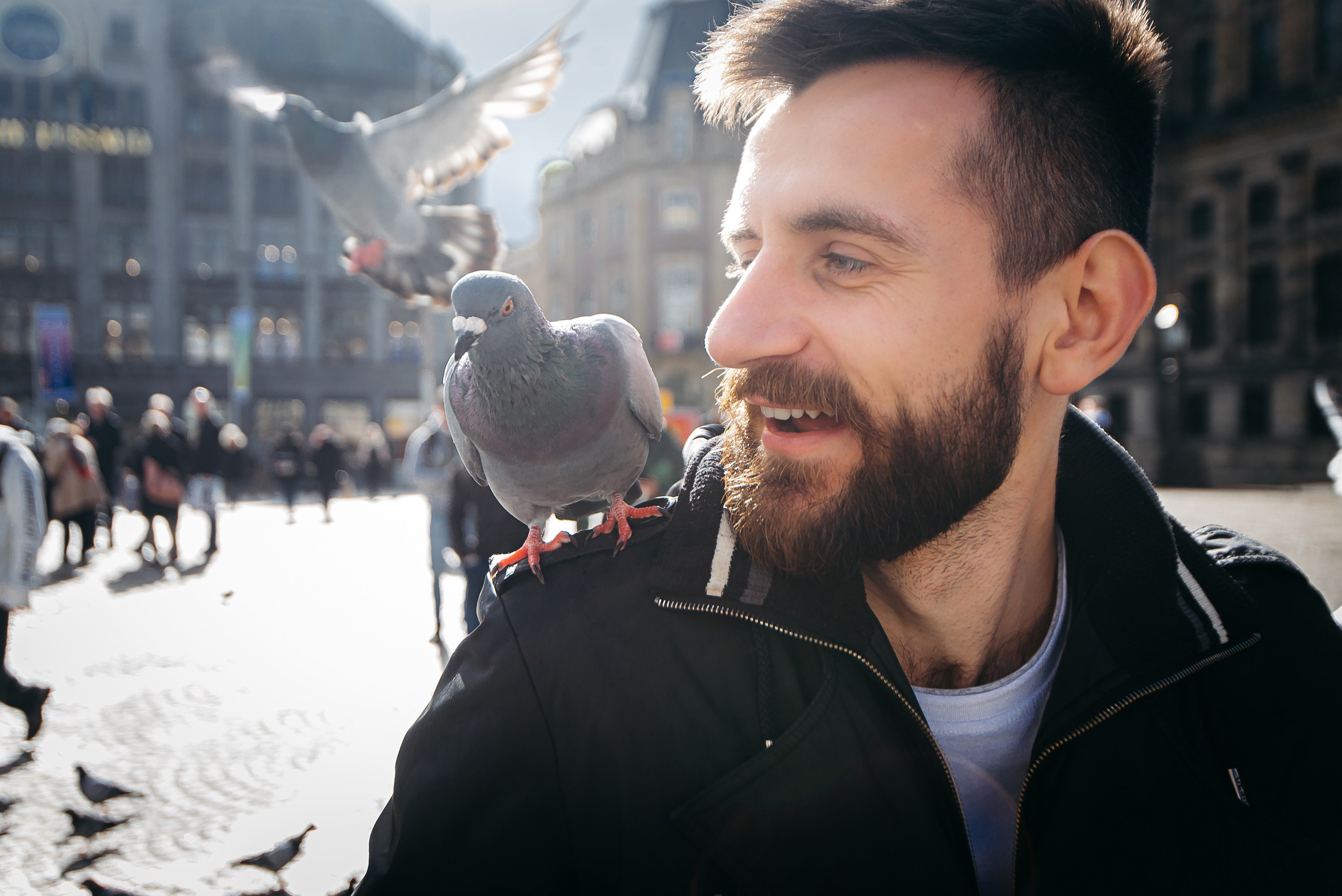 Амстердам. Прогулянка. Весільний та портретний фотограф Кизим Арсен