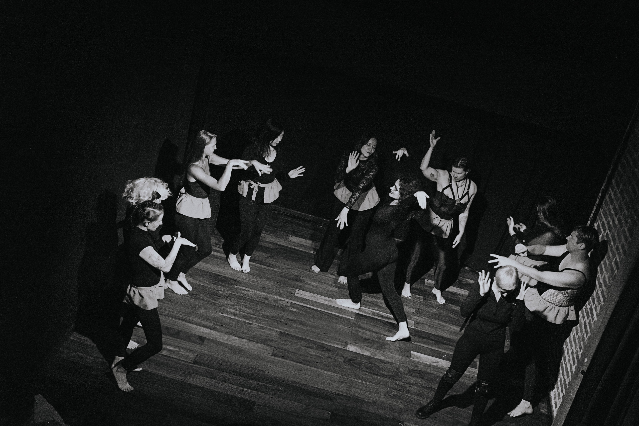 Анонс. Полковник и птицы. Фотограф @elmirkami в городе Буэнос-Айрес