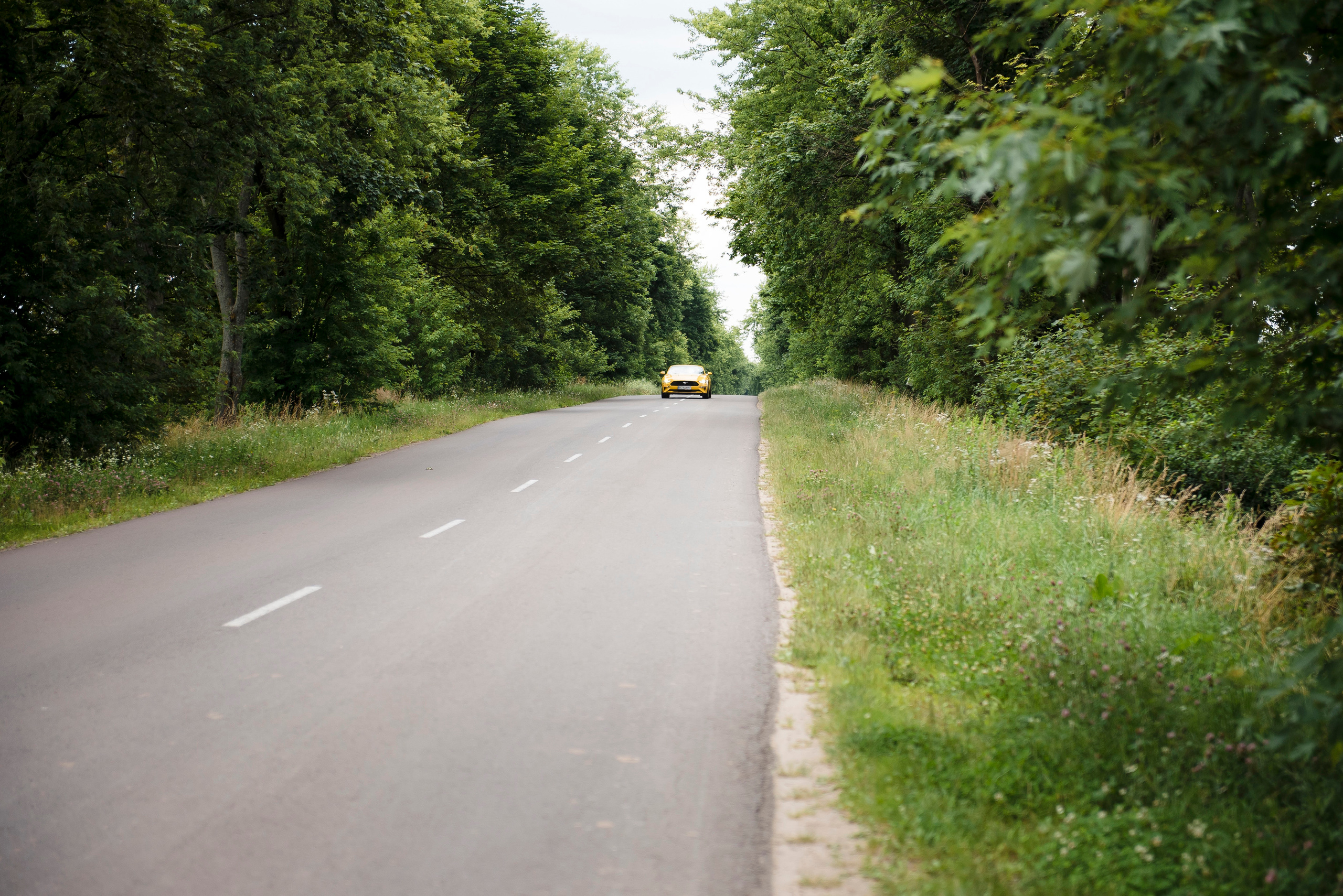 Emotionale Augenblicke einer traumhaften Hochzeit
