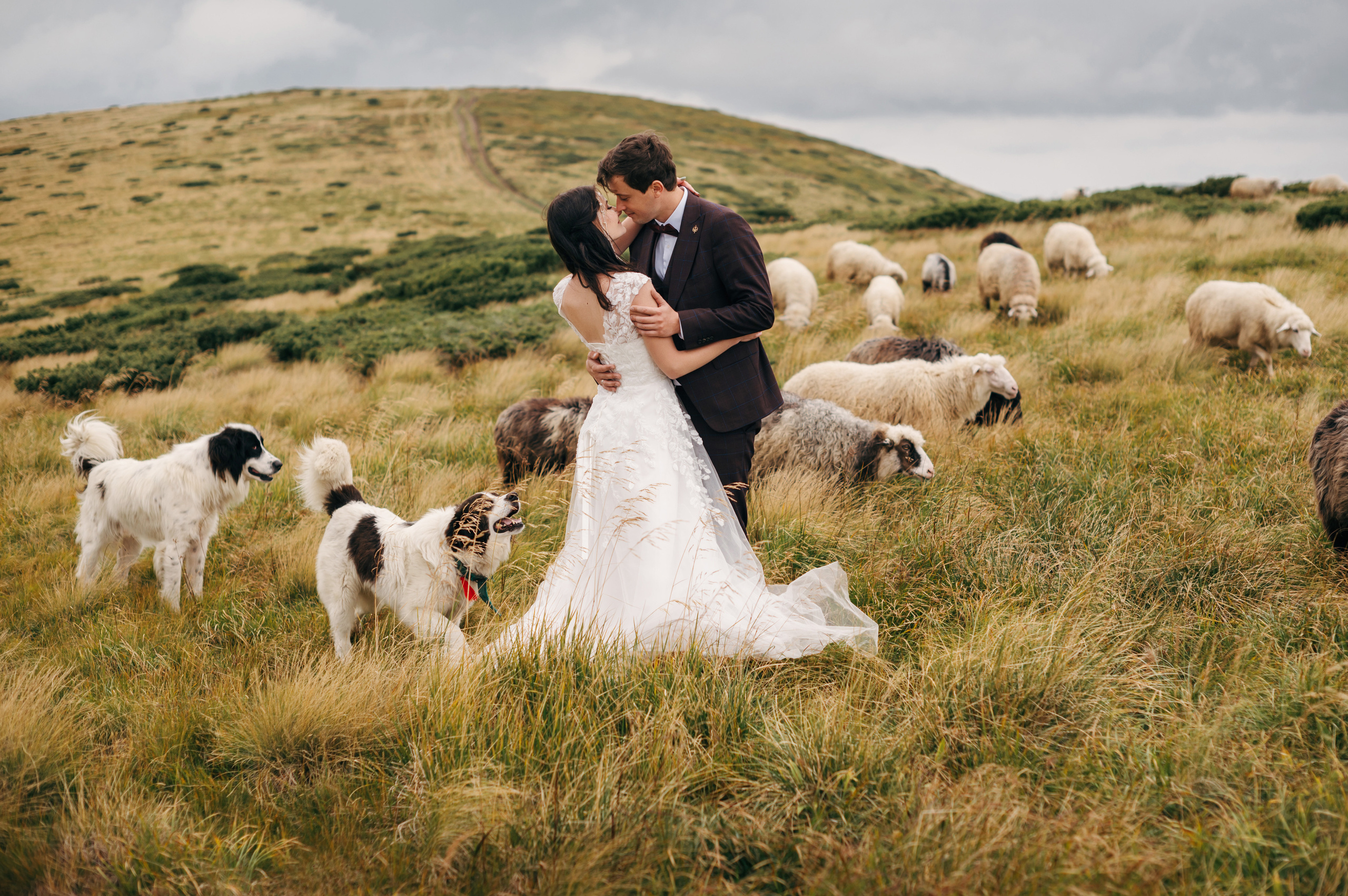 Hochzeit in den Ukrainischen Karpaten - Dragobrat