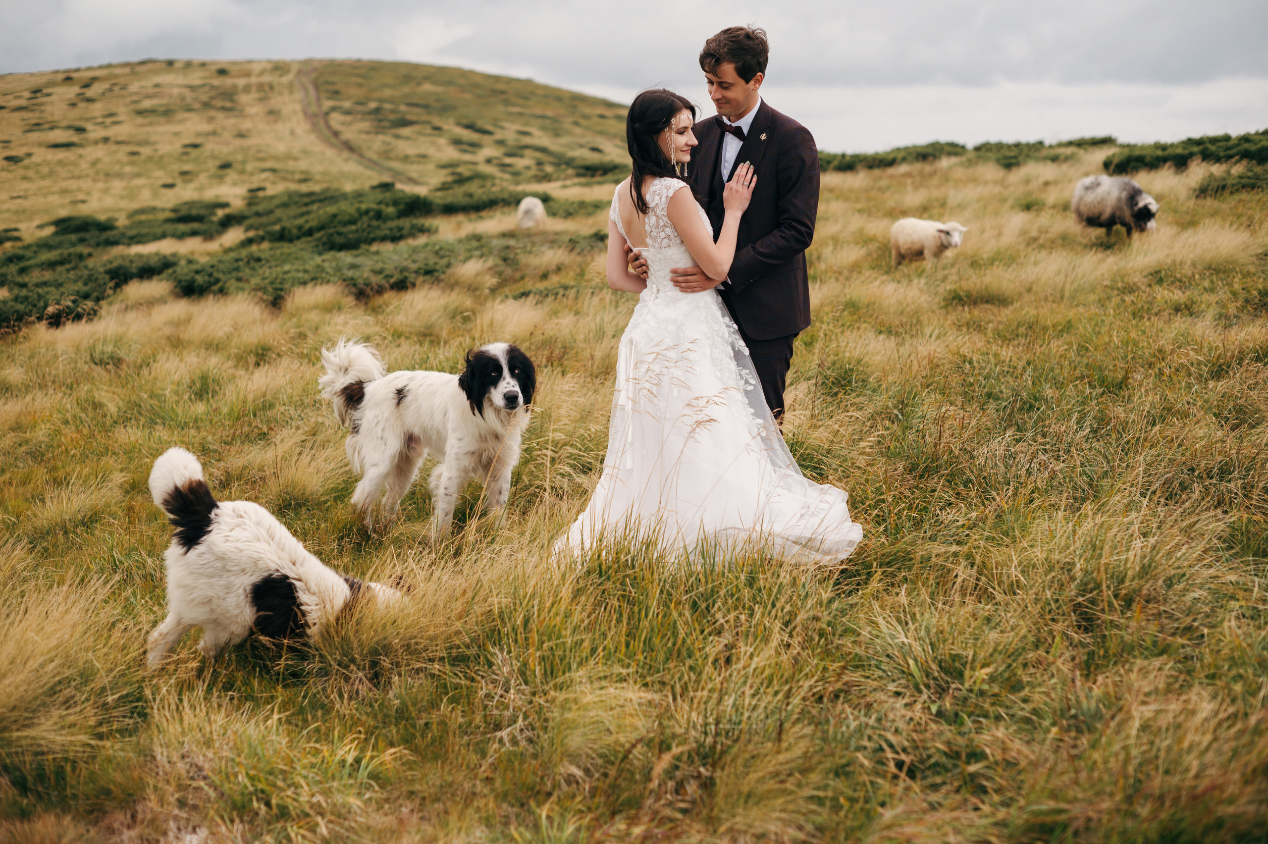 Hochzeit in den Ukrainischen Karpaten - Dragobrat