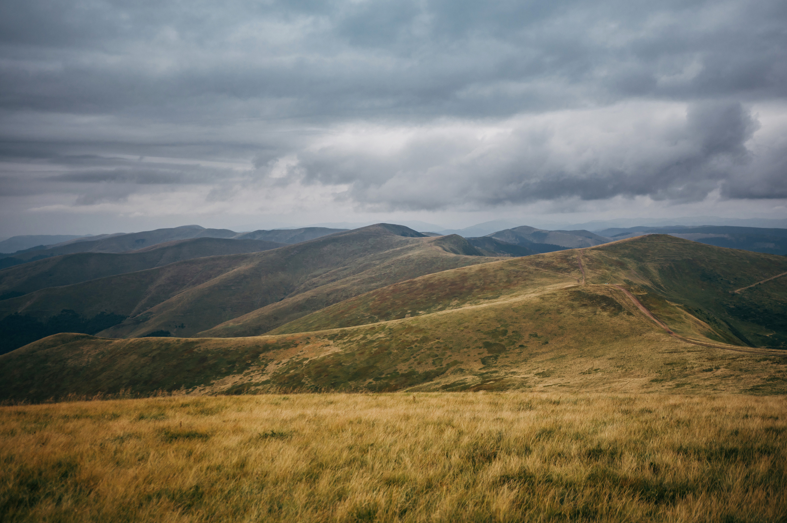 Hochzeit in den Ukrainischen Karpaten - Dragobrat