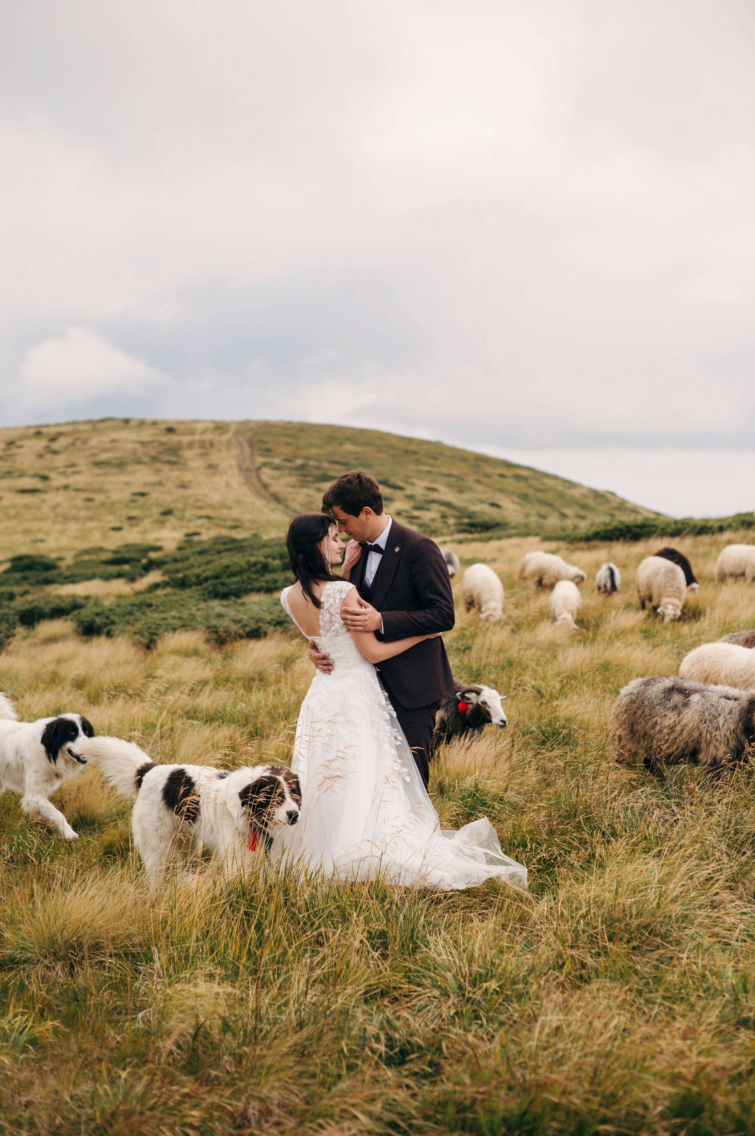 Hochzeit in den Ukrainischen Karpaten - Dragobrat