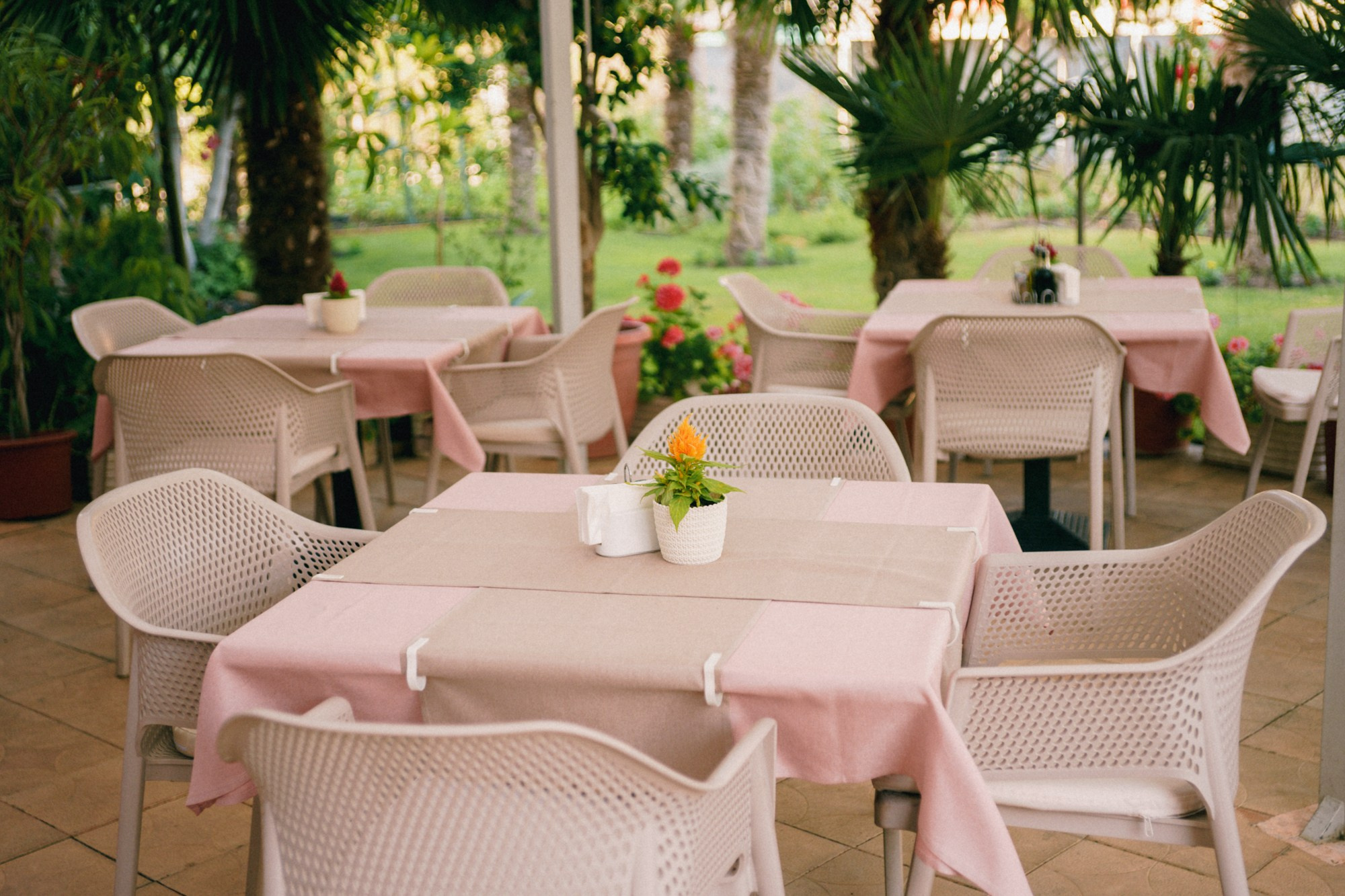 Bolero. Fotograf in Bulgarien Katerina Zubkova