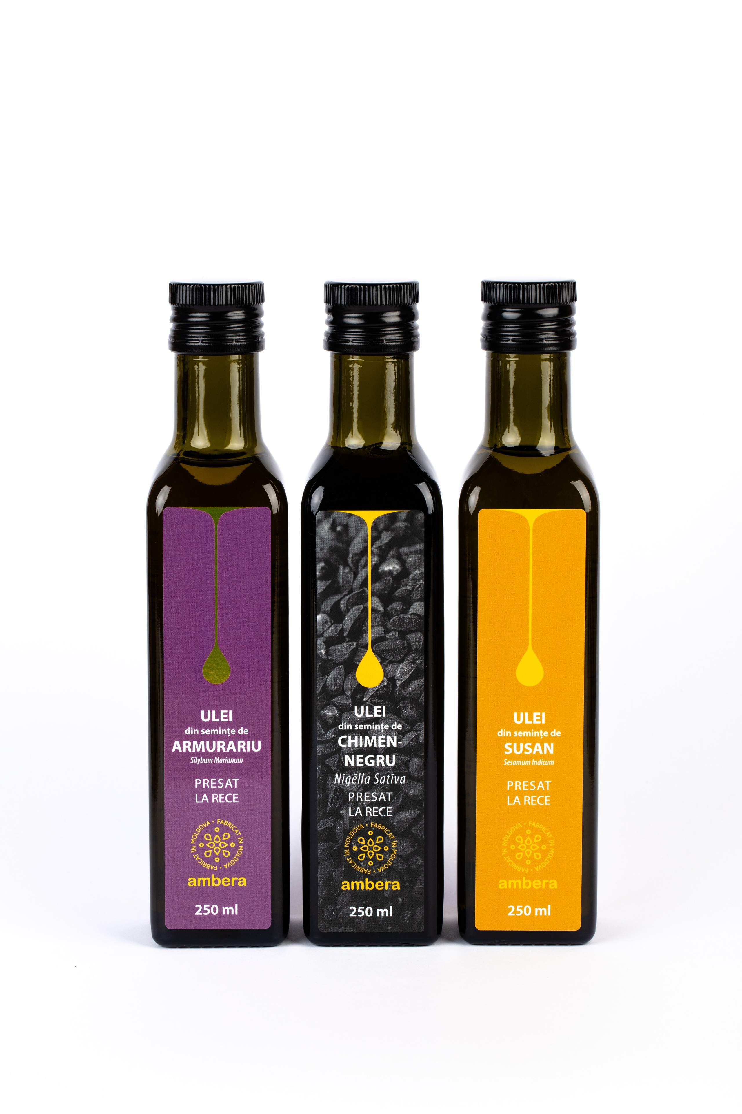 Catalog. Fotograf și Videograf | Chișinău, Moldova