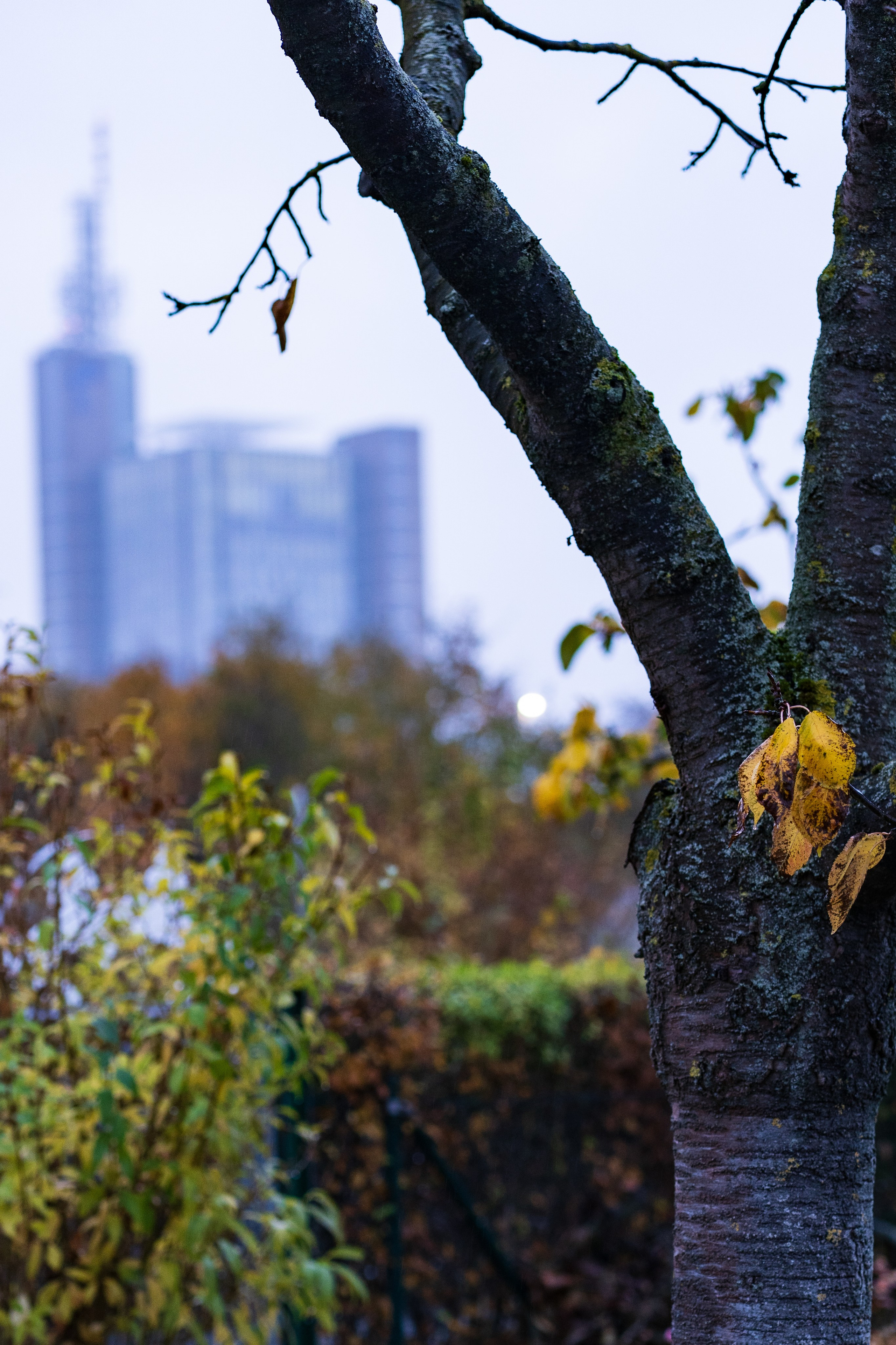 Landschaftsfotografie. Bürgerreporter & Amateurfotograf in Hannover