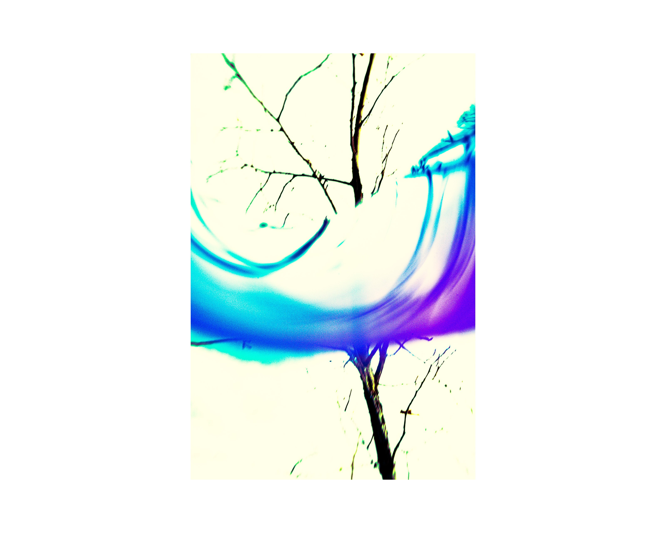 Nature from Exaggerated Worlds. Ekaterina Tsurkina-Appina Photography Canada