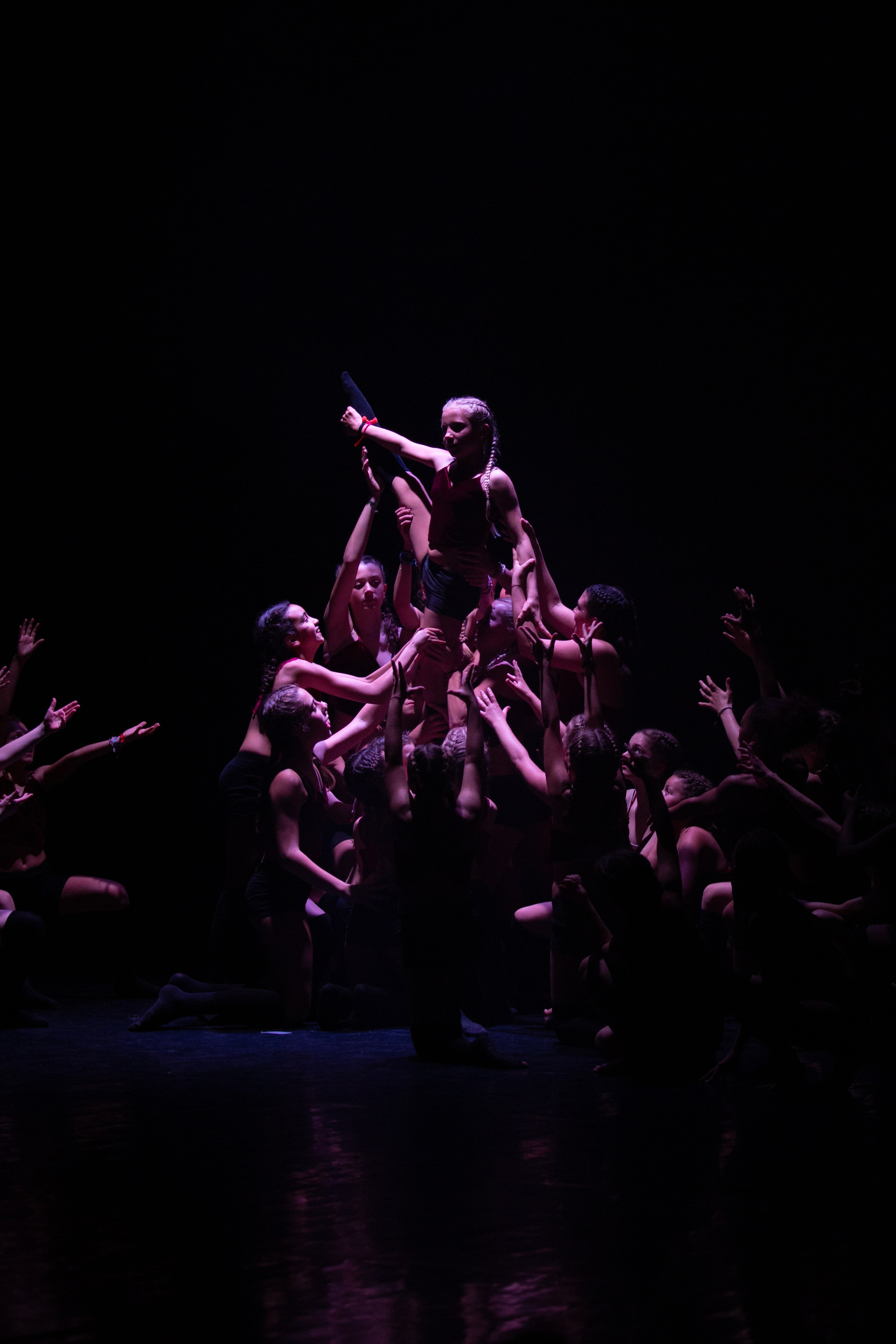 Art Events. Family, portrait, and lifestyle photoshoots in Belgium