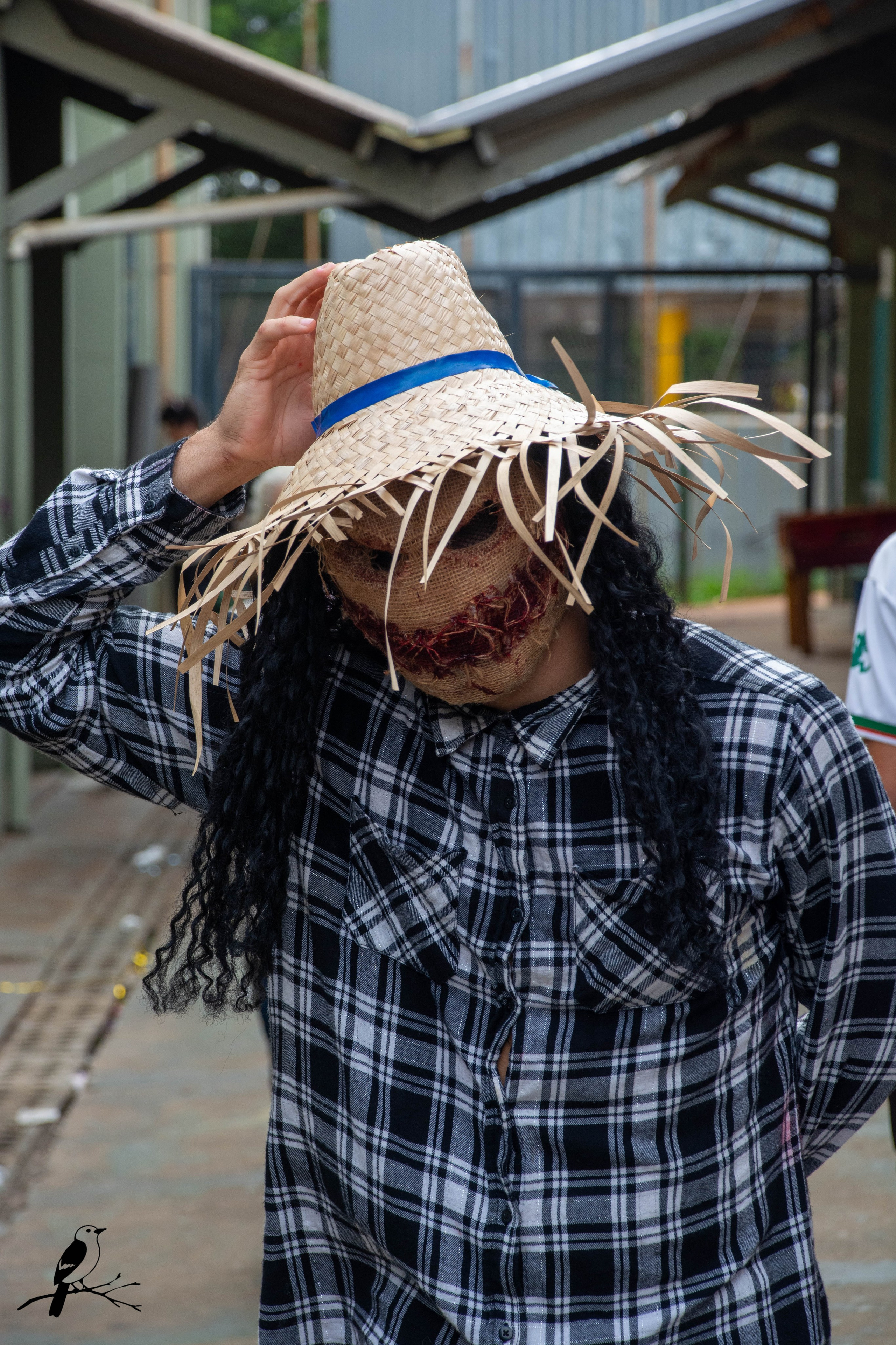 Festa Halloween. AerobirdStudios